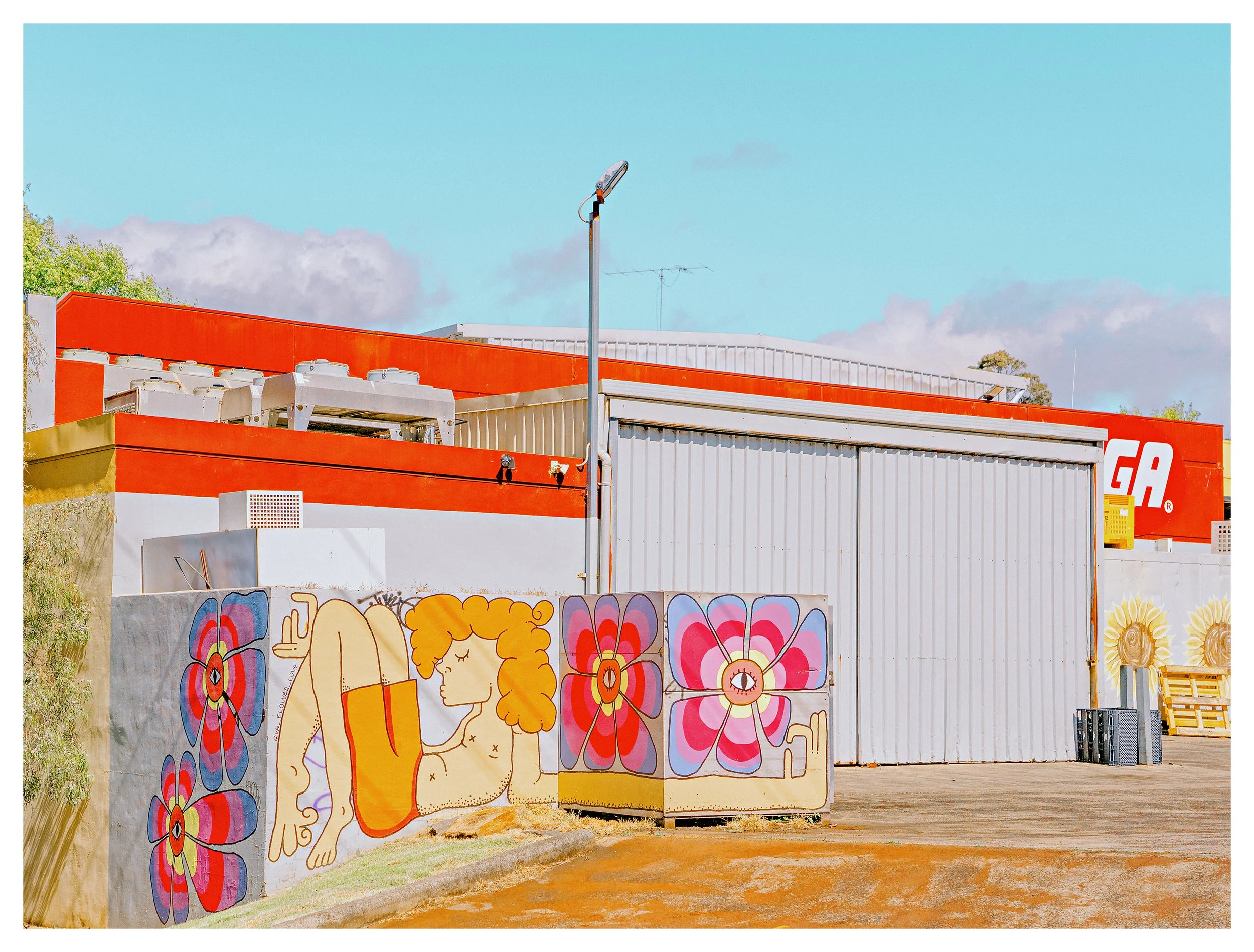 Colorful graffiti murals of flowers and a nude woman on concrete barriers in front of a building with an orange and white exterior, a street lamp, and a blue sky with scattered clouds. Graffiti is in Margaret River.