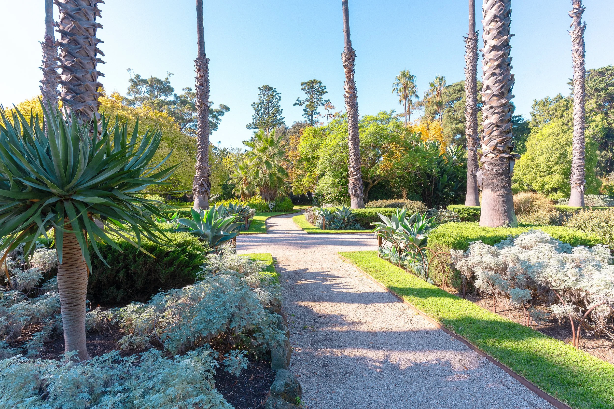 Williamstown Botanical Gardens.