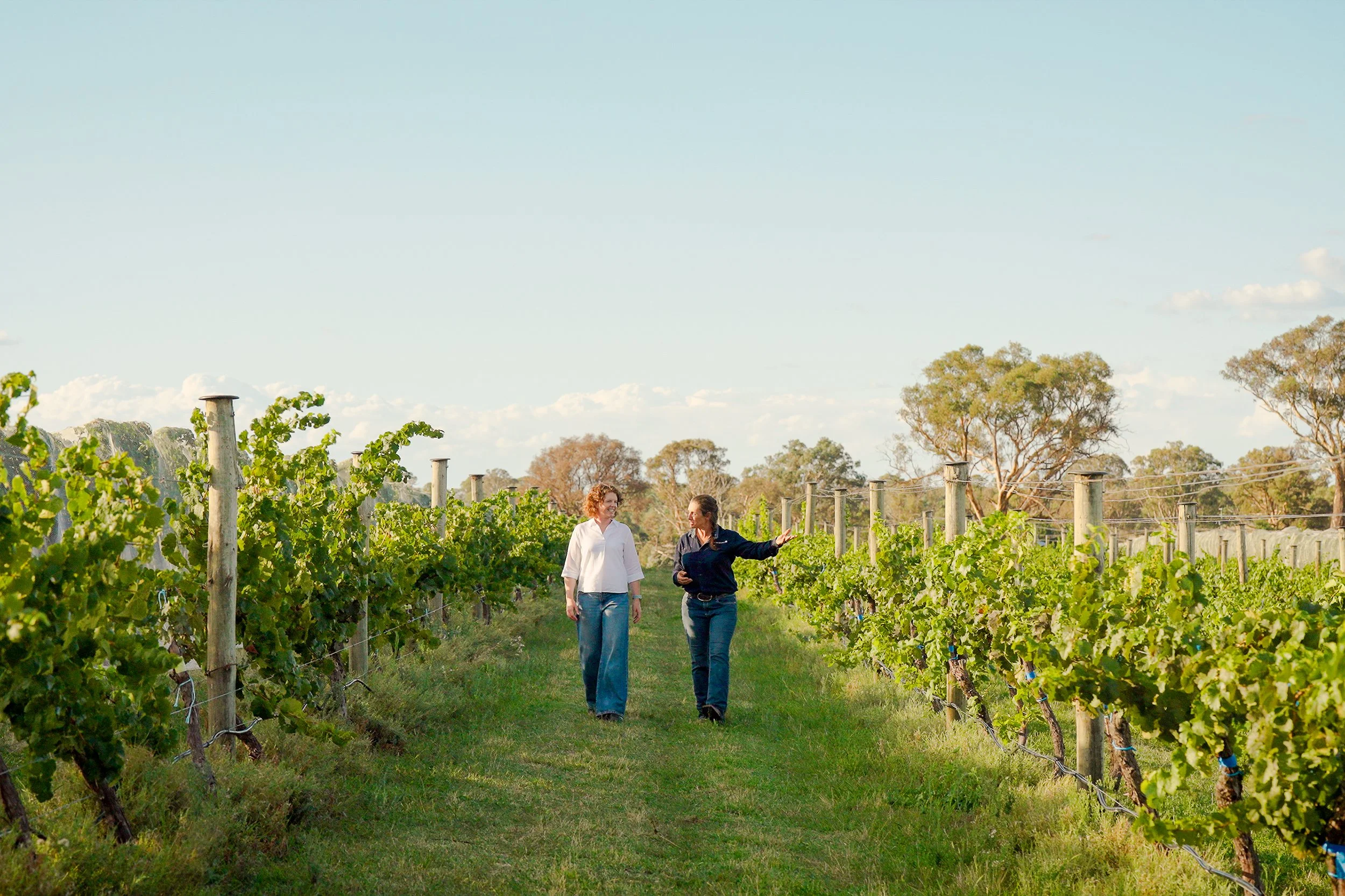 Sarah Collingwood walks through the Four Winds Vineyard in Canberra with Goterra CEO, Olympia Yarger.
