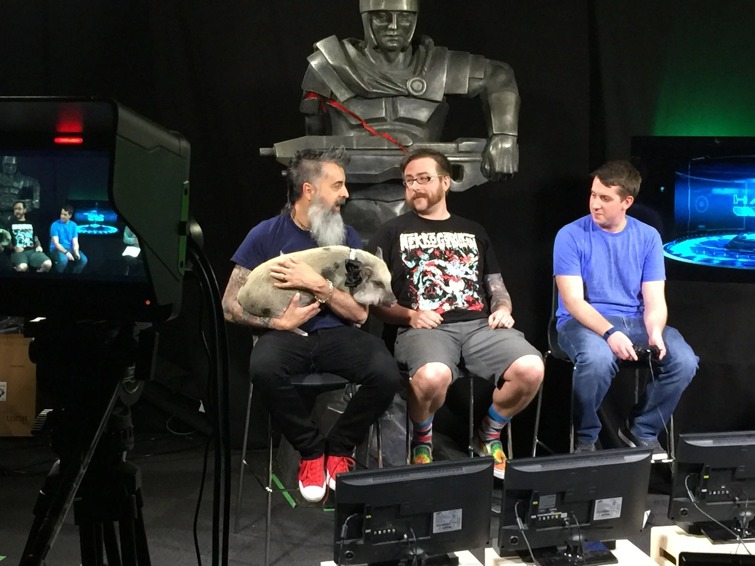 Internal Halo Livestream