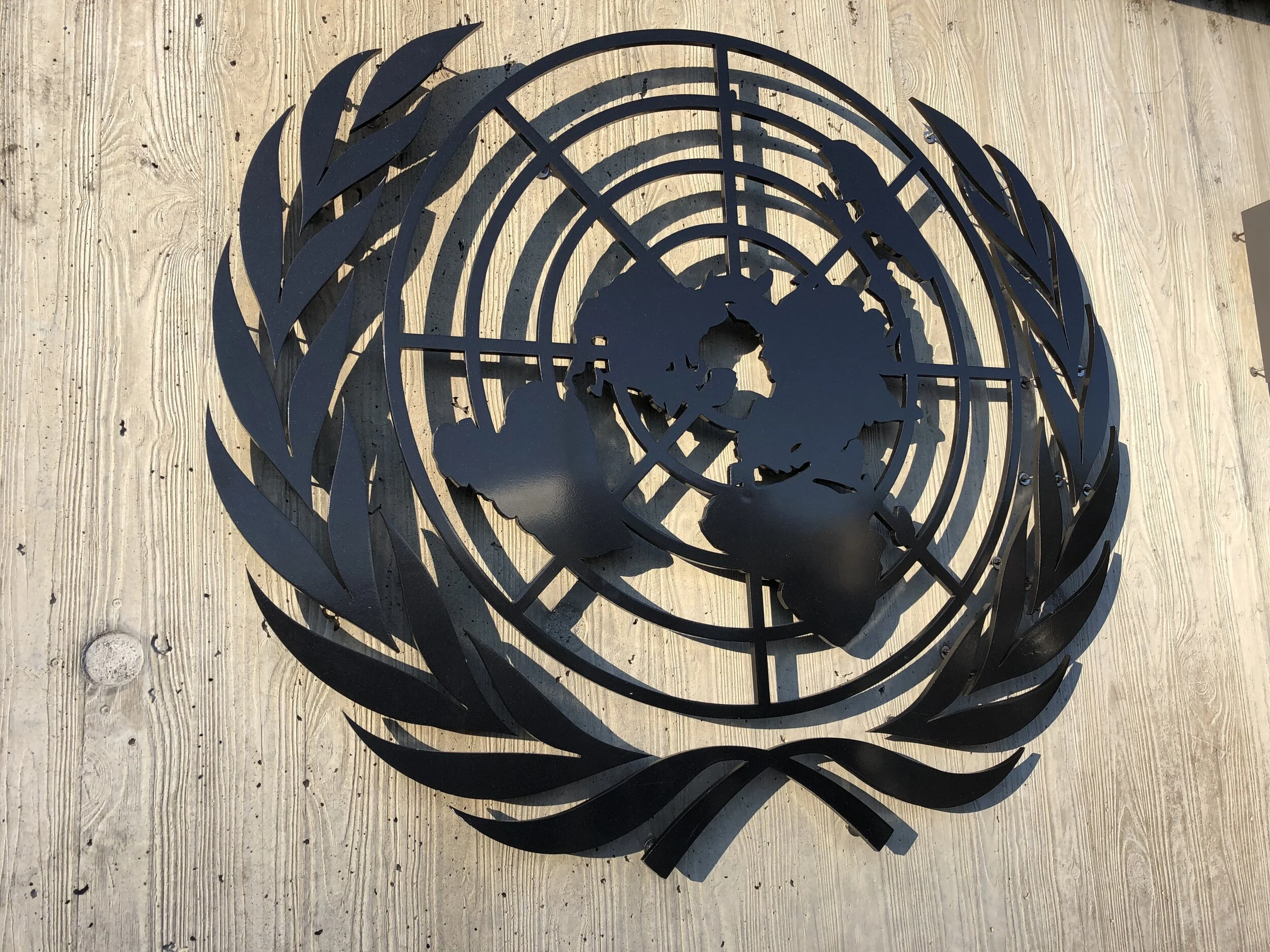 The WHO and the future of international public finance