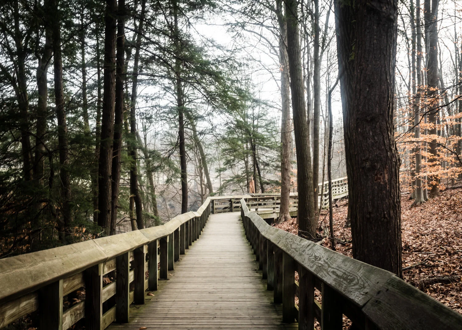 Brandywine Boardwalk | Ohio