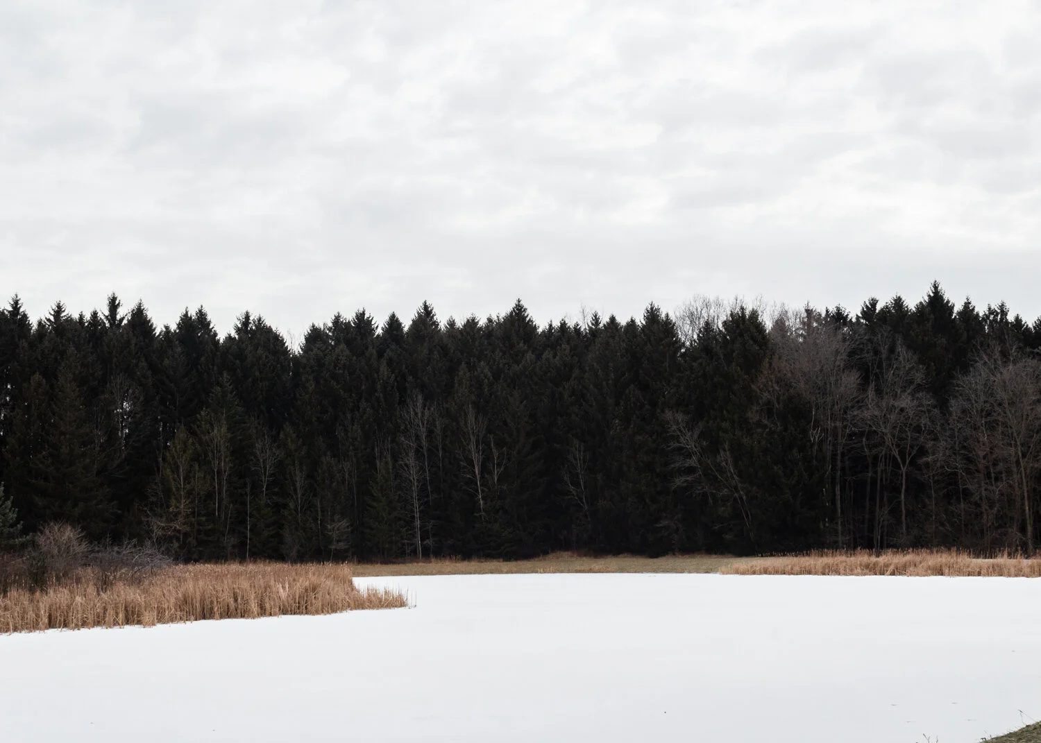 Horseshoe Pond | Ohio