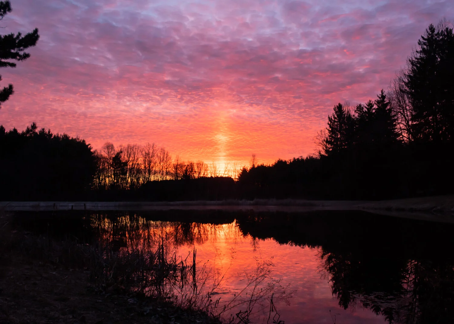 Horseshoe Pond | Ohio