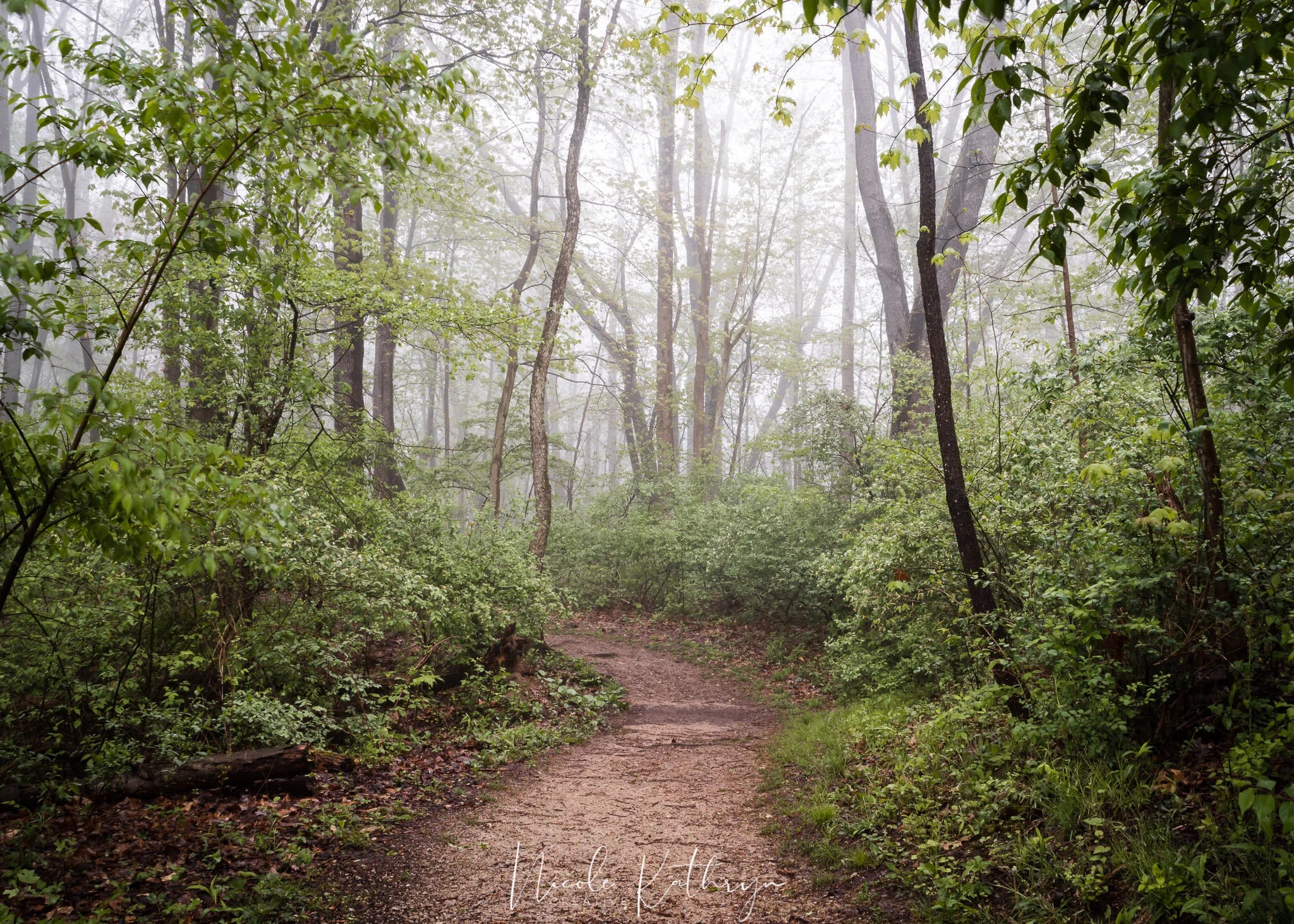 Cascade Valley Foggy - May 20 - Watermark-2.jpg