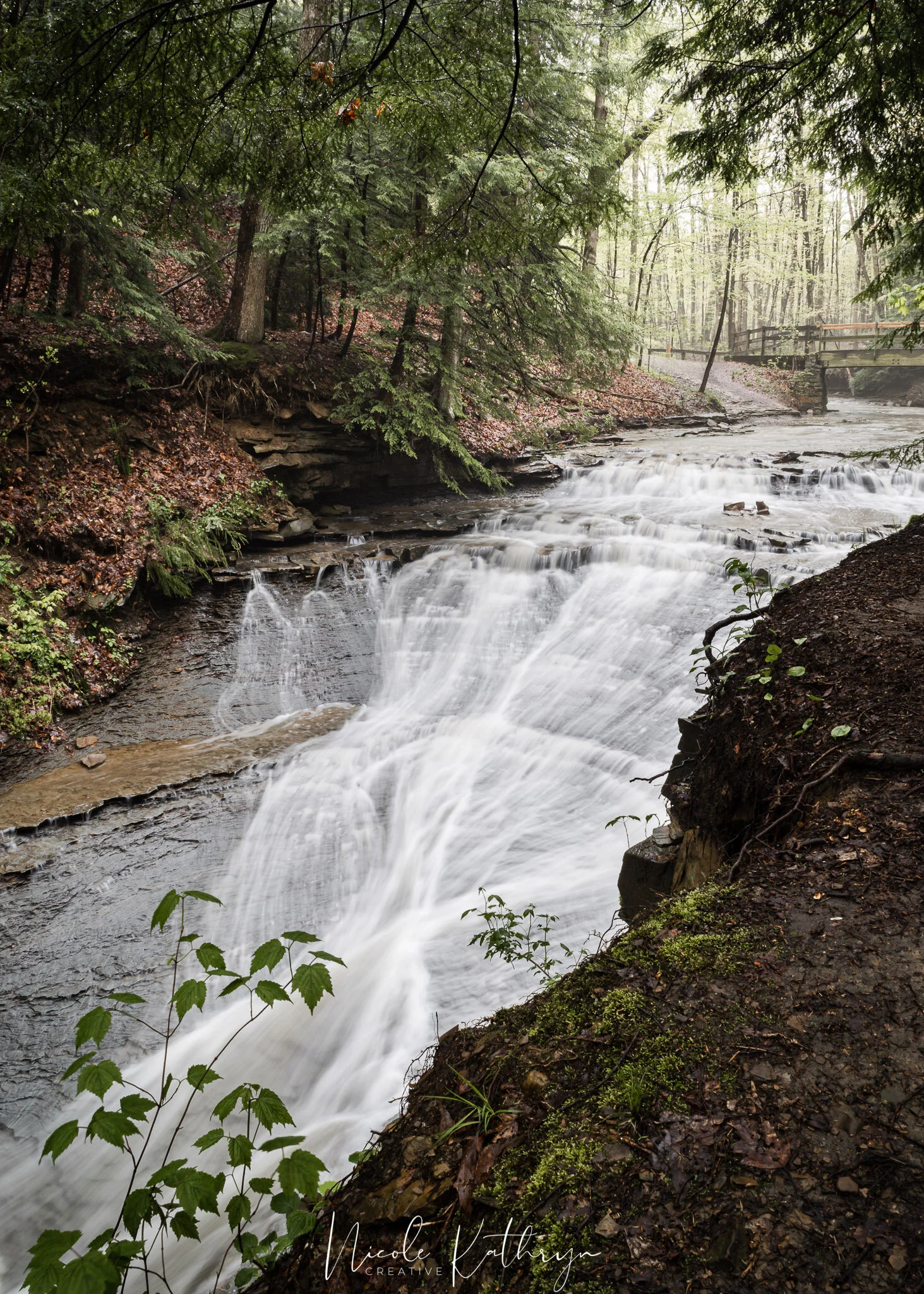 Bedford - Bridal Veil - May 20 - Watermark.jpg