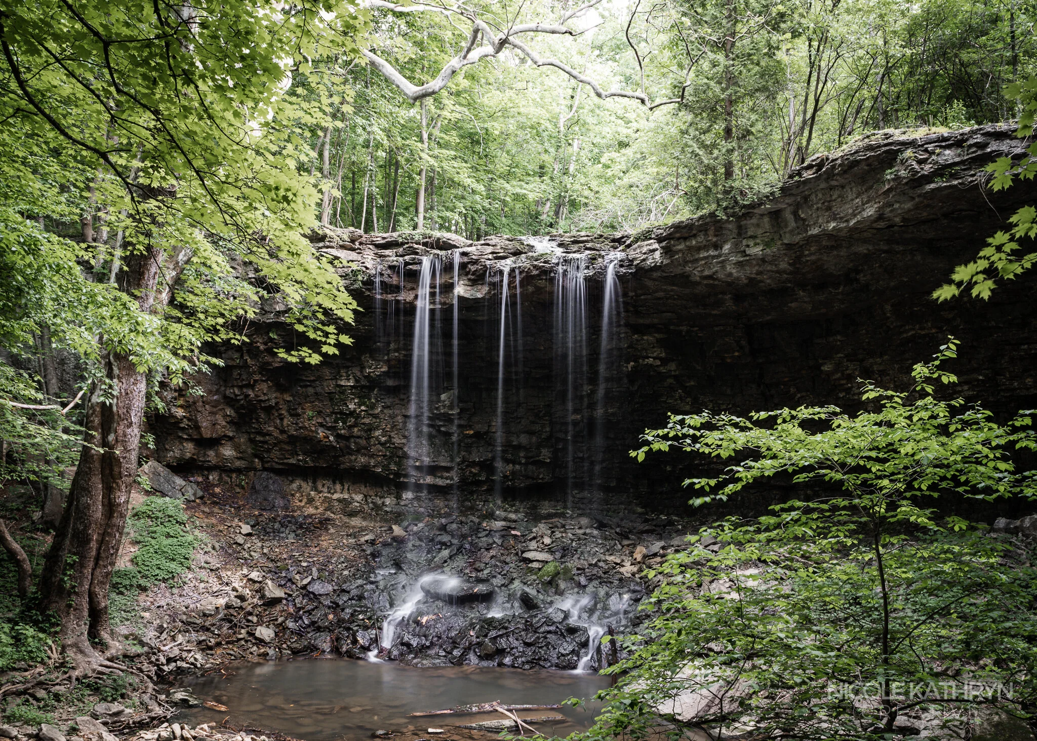 Charleston Falls 5x7 Watermark.jpg