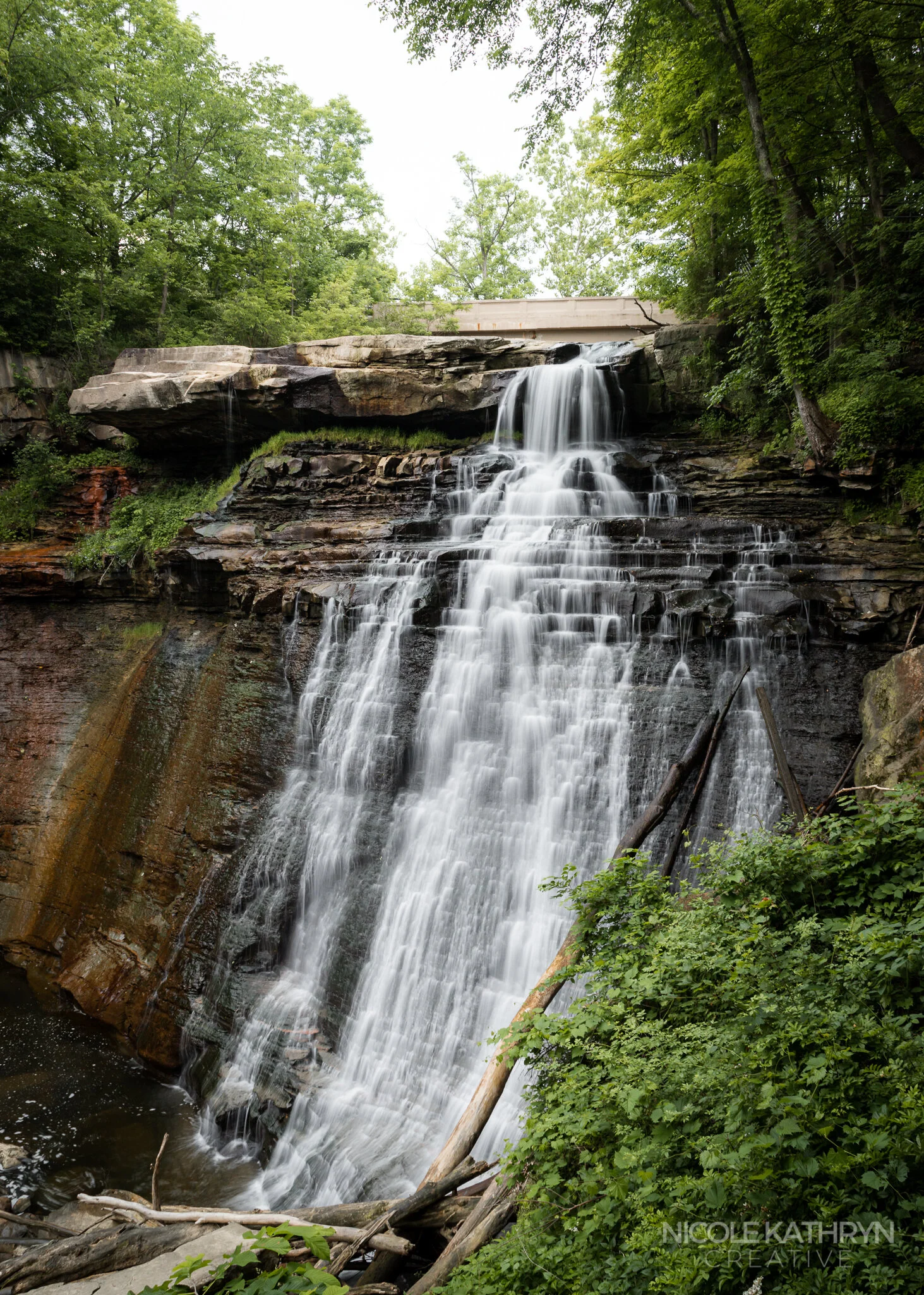 CVNP 5x7 Watermark-8.jpg