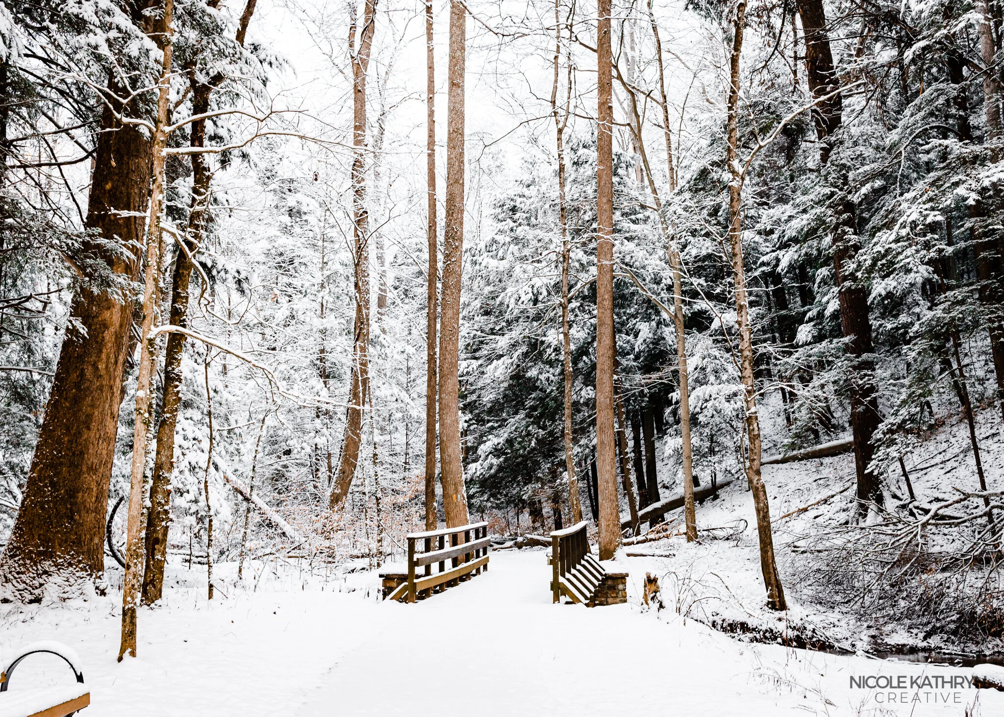 Hocking Hills 5x7 Watermark.jpg