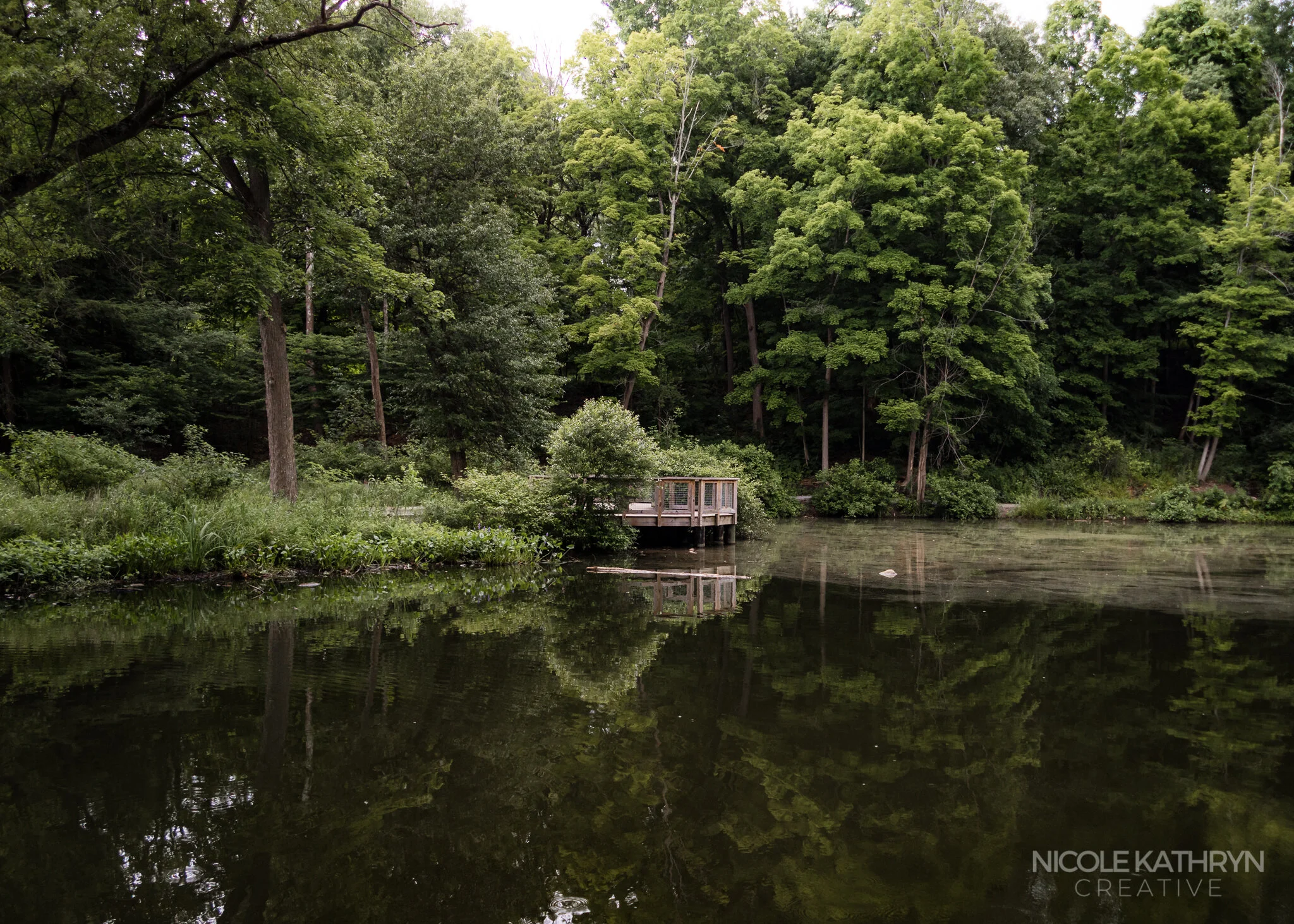 Mill Creek Parks 5x7 Watermark-7.jpg