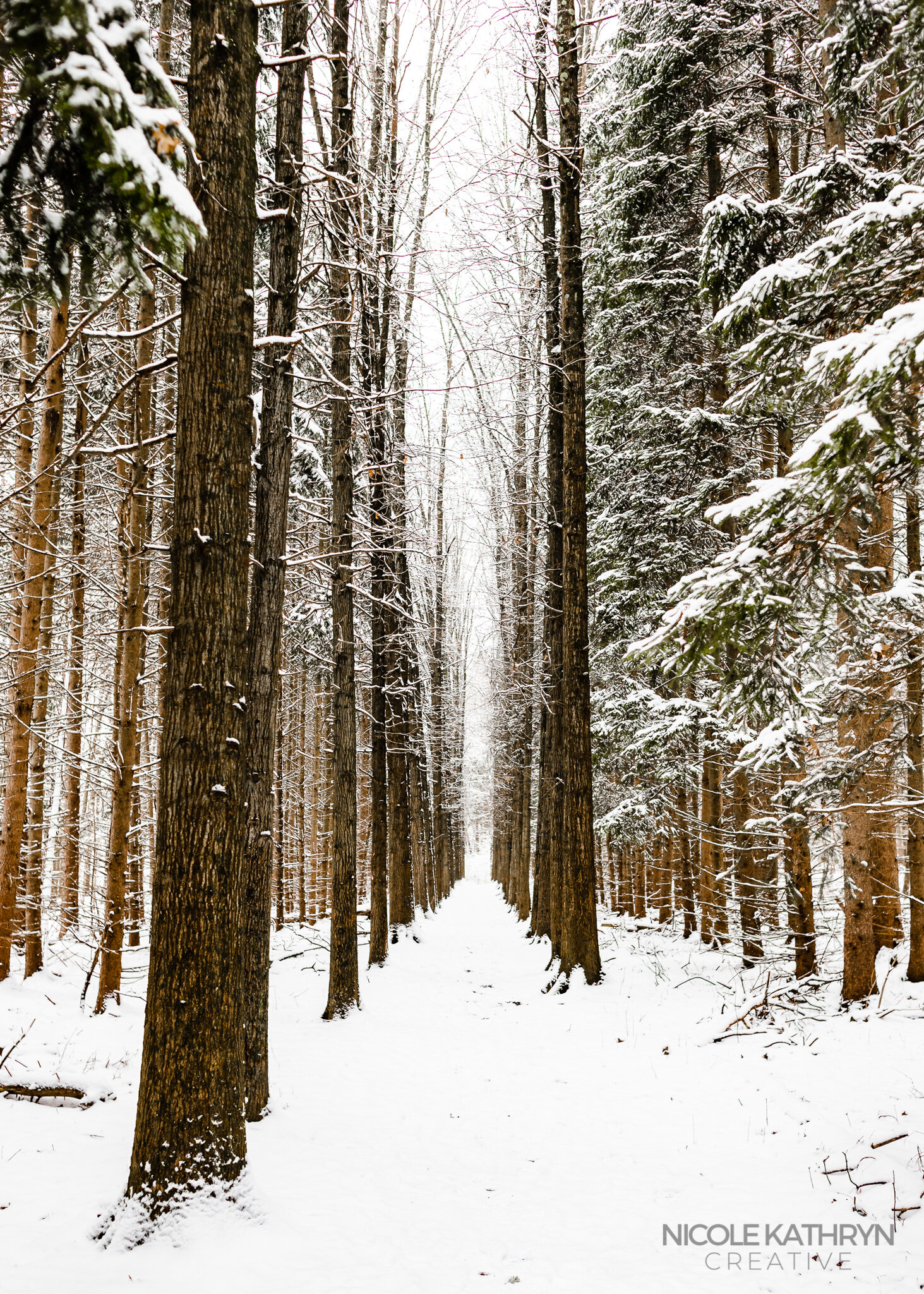 Plateau Trail 5x7 Watermark.jpg