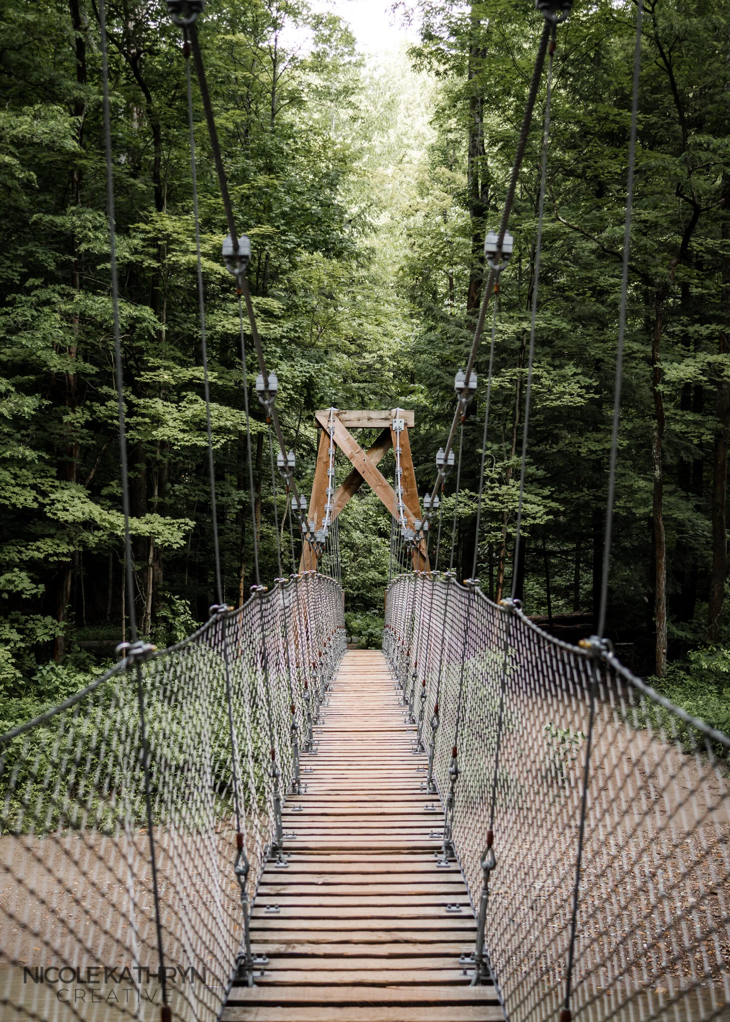 Girdled Road 5x7 Watermark.jpg