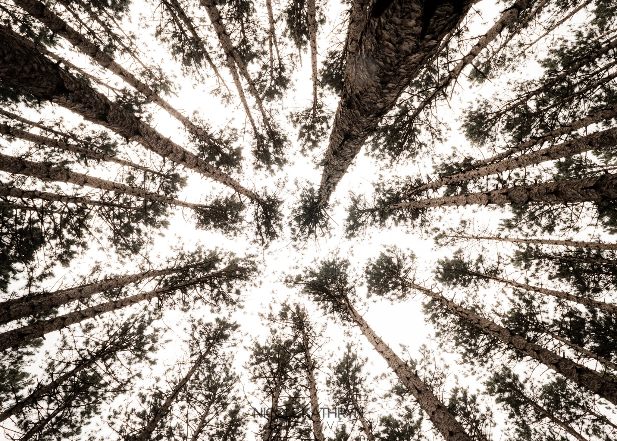 Toledo Metroparks 5x7 Watermark-13.jpg