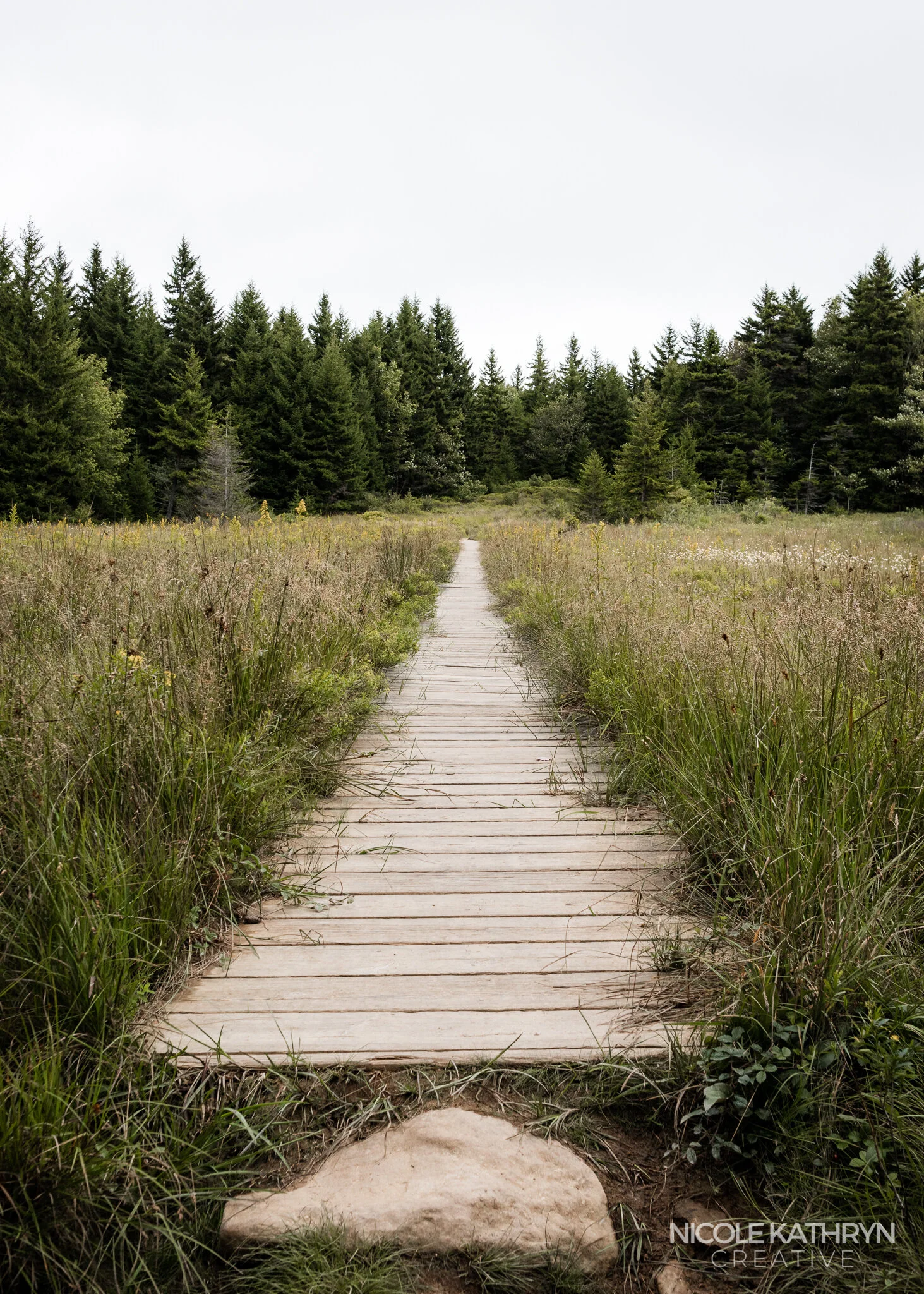 Dolly Sods 5x7 Watermark-2.jpg