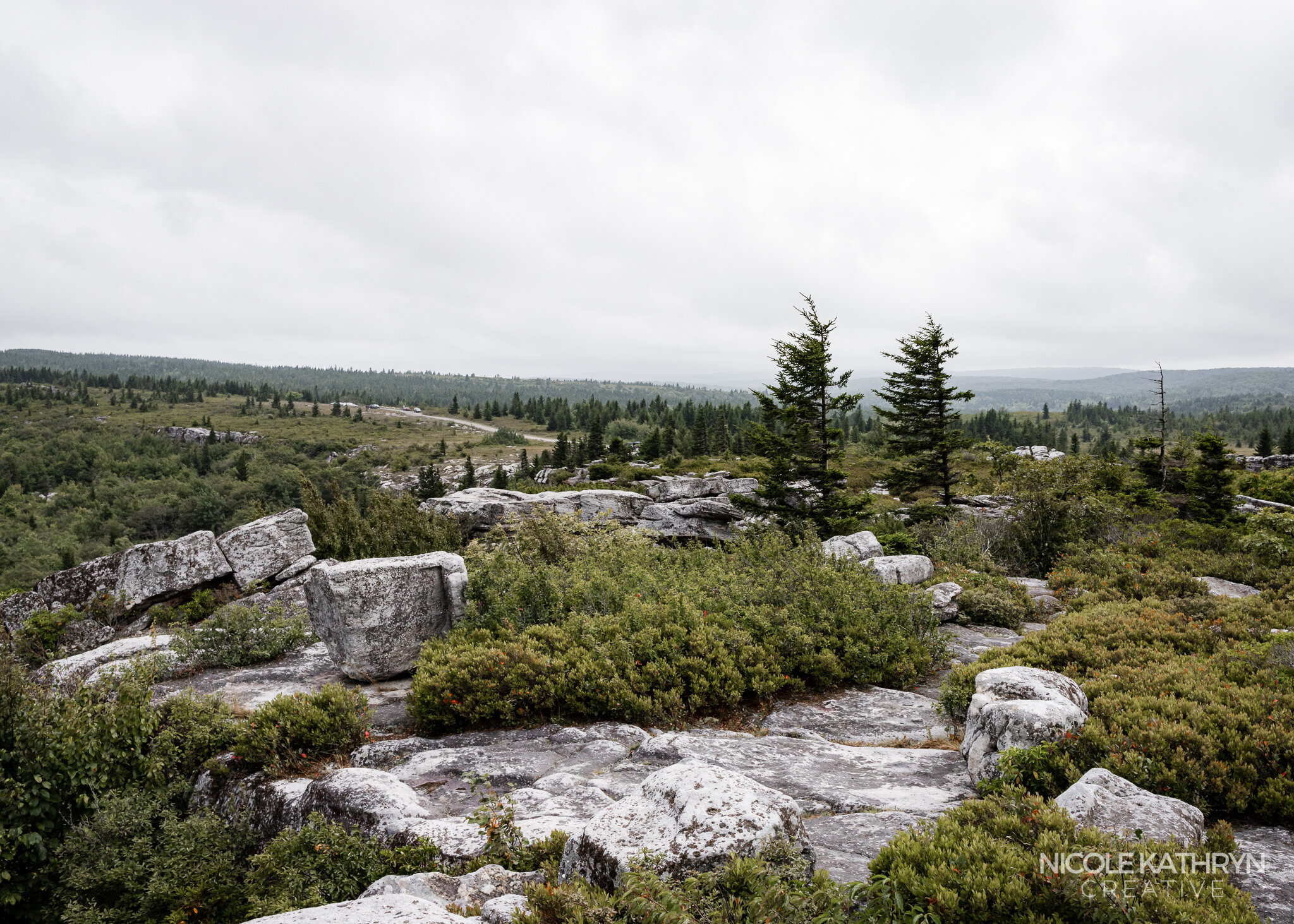Dolly Sods 5x7 Watermark-3.jpg