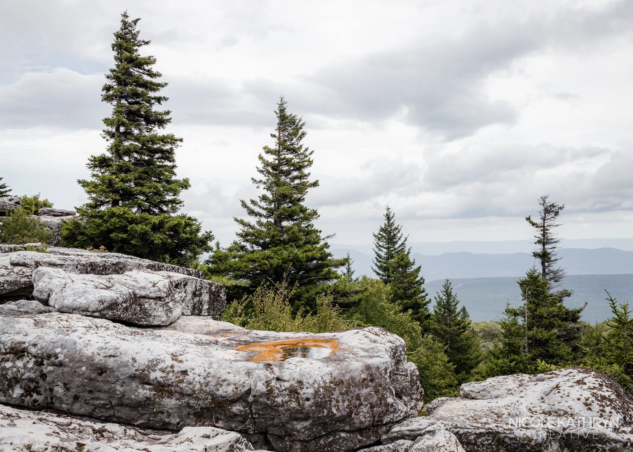 Dolly Sods 5x7 Watermark.jpg