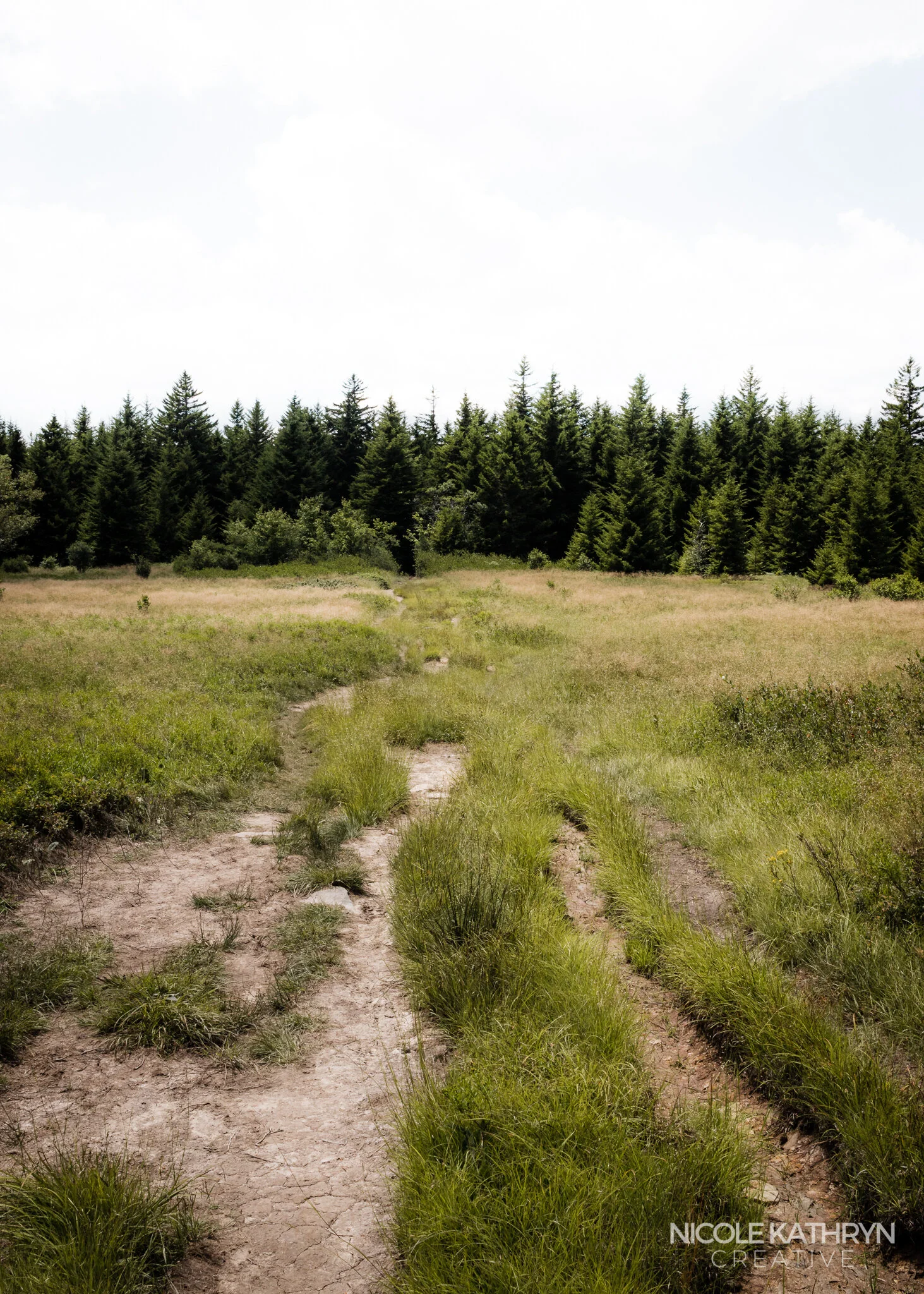 Dolly Sods 5x7 Watermark-2.jpg
