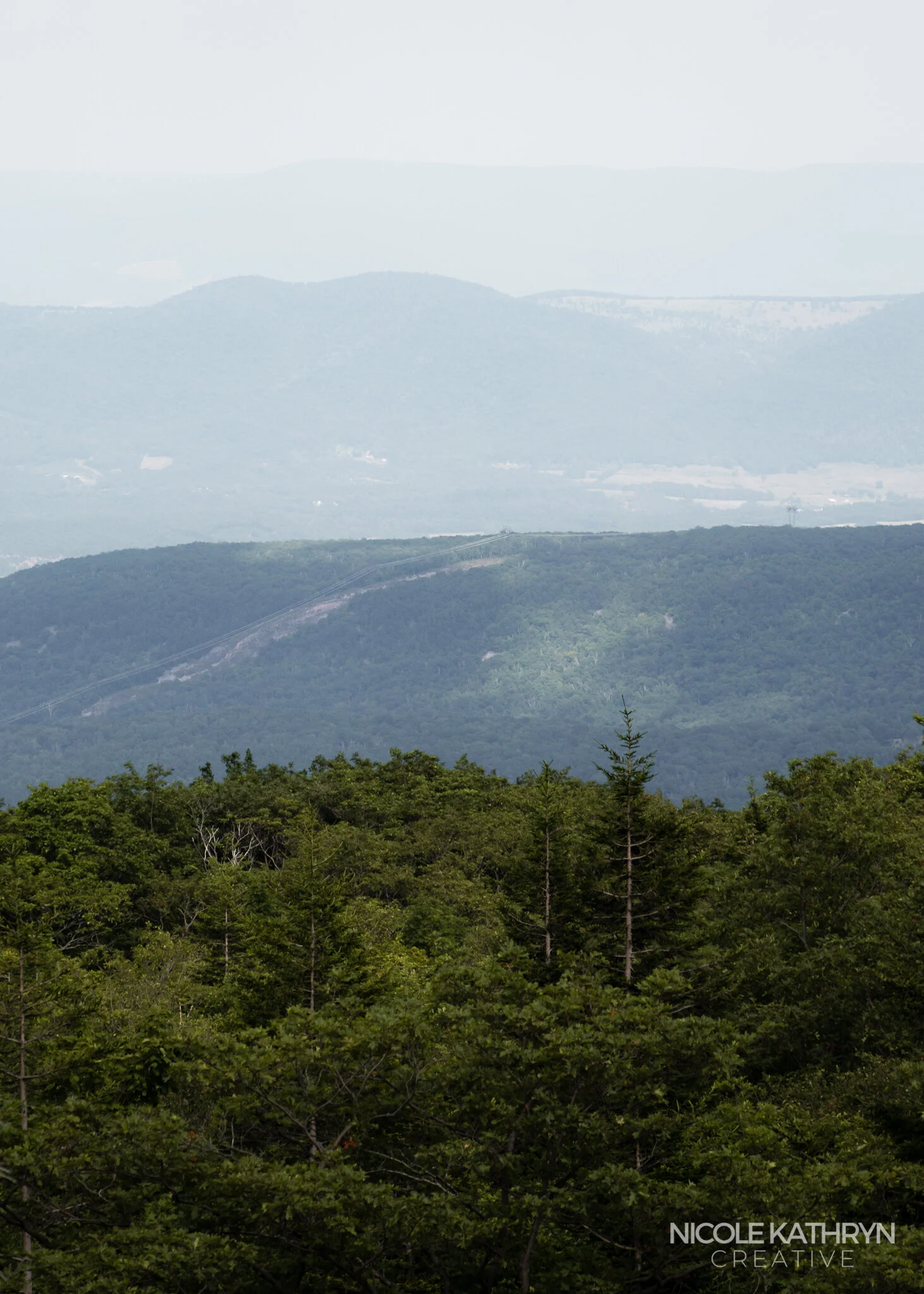 Dolly Sods 5x7 Watermark-5.jpg