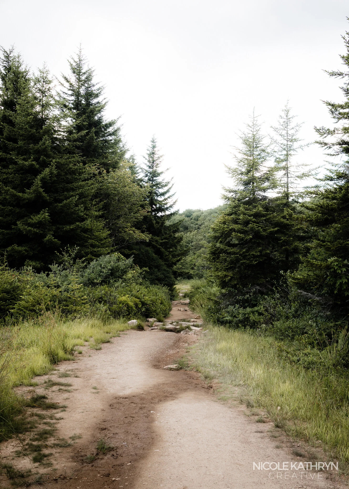 Dolly Sods 5x7 Watermark-3.jpg