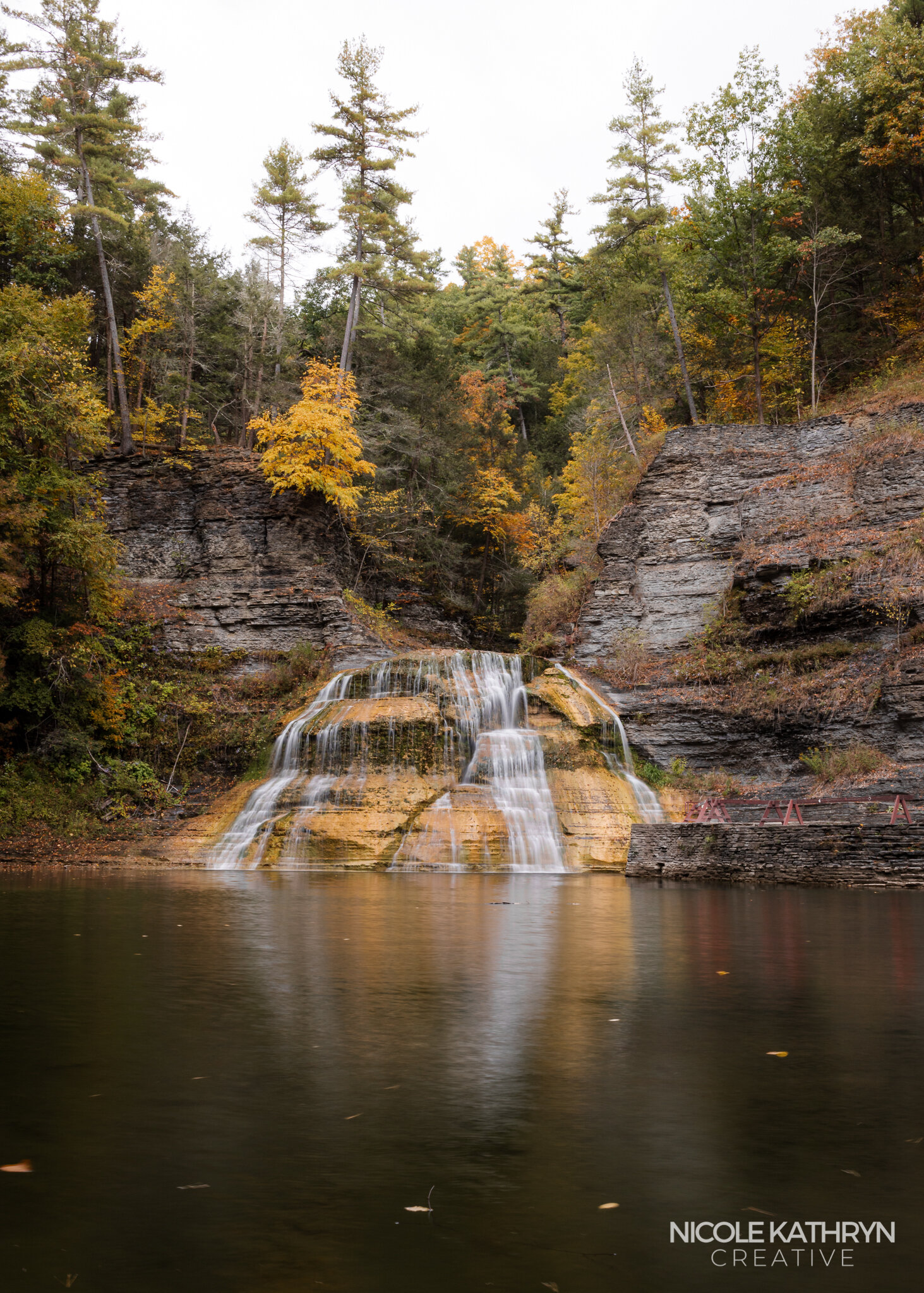 Robert Treman 5x7 Watermark.jpg