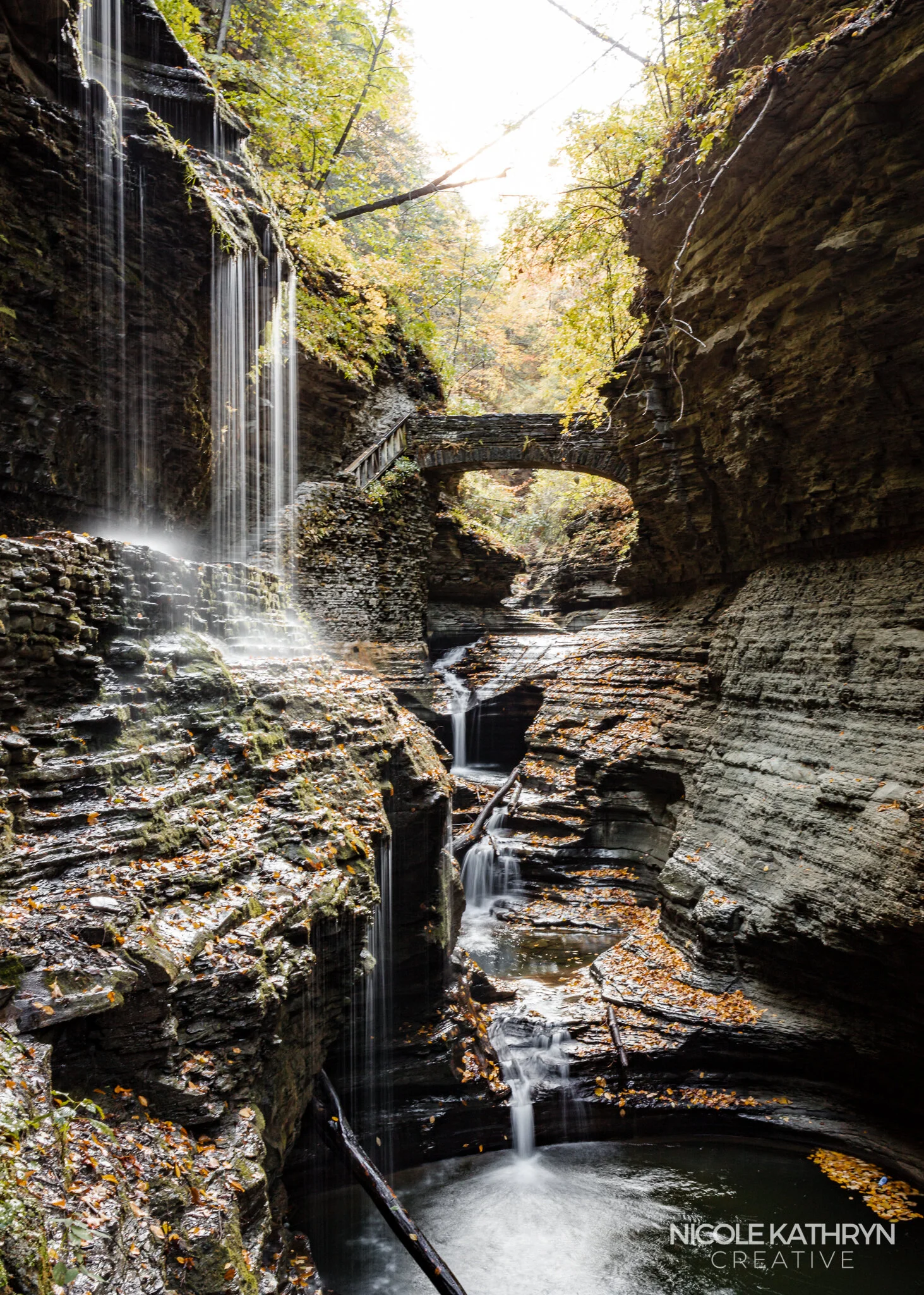 Watkins Glen 5x7 Watermark copy.jpg