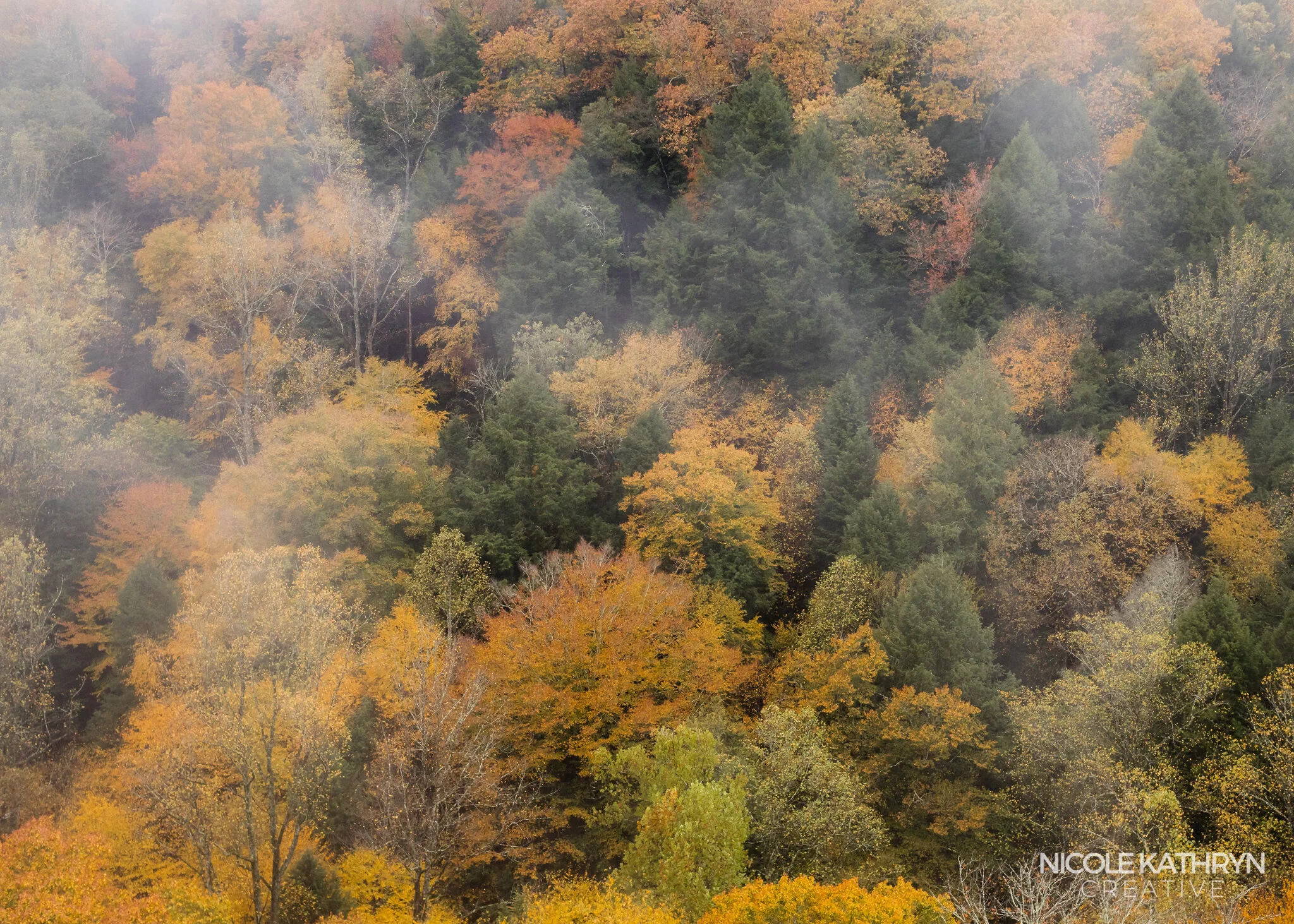 Hocking Hills Fall 5x7 Watermark-20.jpg