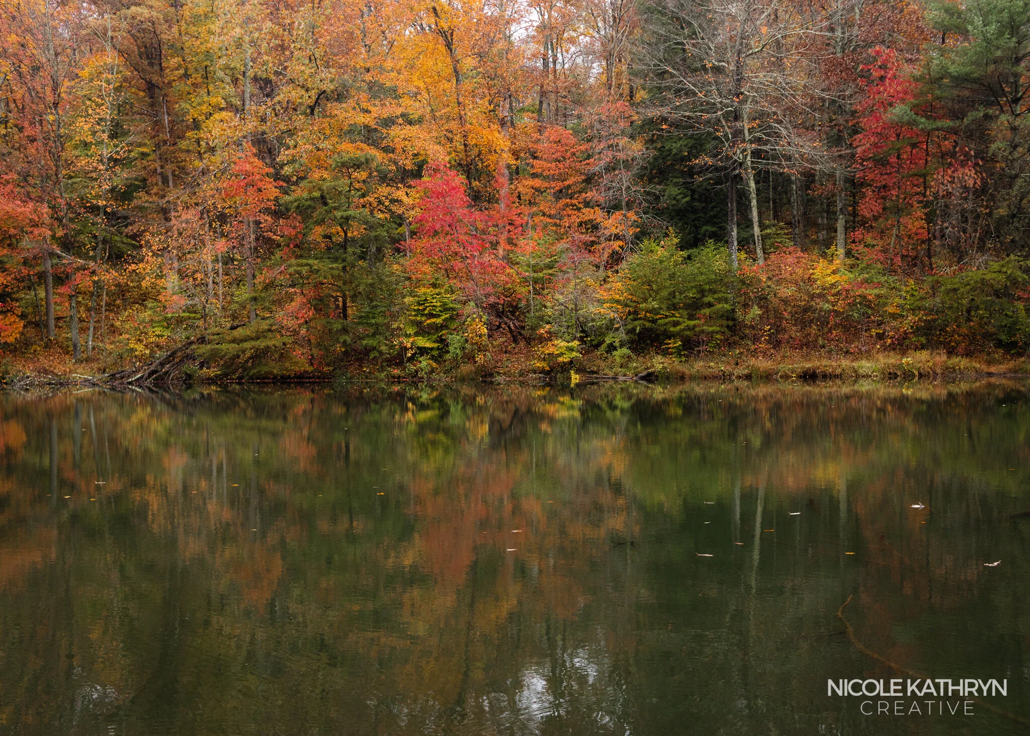 Hocking Hills Fall 5x7 Watermark-11.jpg