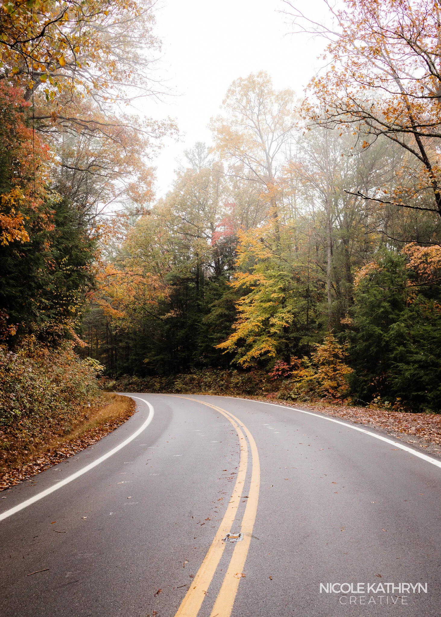 Hocking Hills Fall 5x7 Watermark-22.jpg