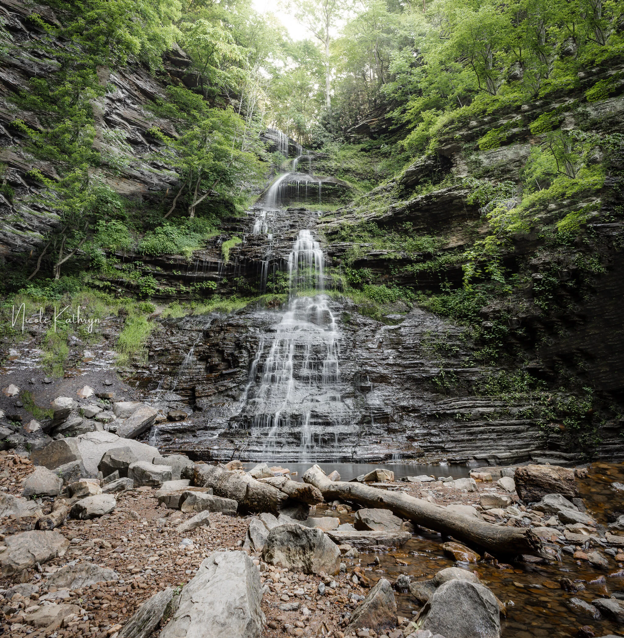 Cathedral Falls, WV - June, 2021-2.jpg