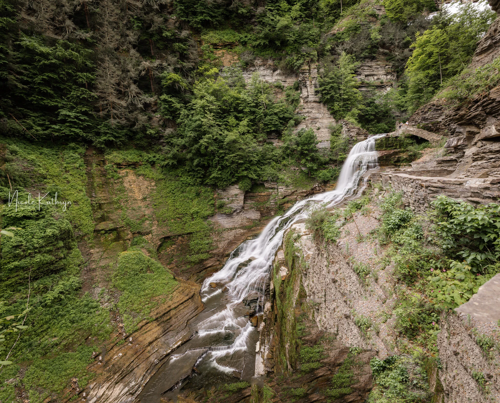 Robert Treman, NY - Jun, 2021 - Watermark-2.jpg