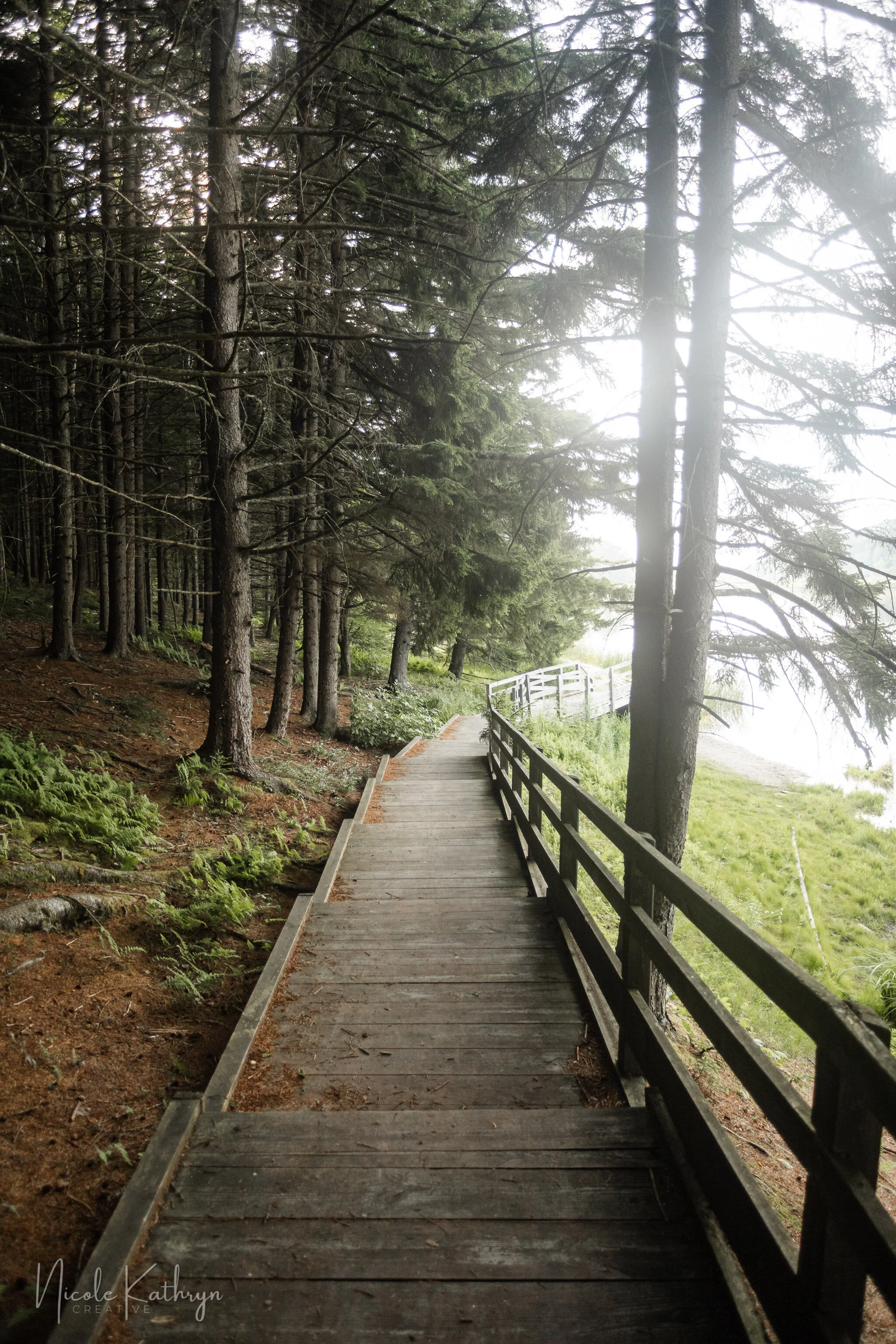 Spruce Knob, WV - Jul, 2021 - Watermark-8.jpg