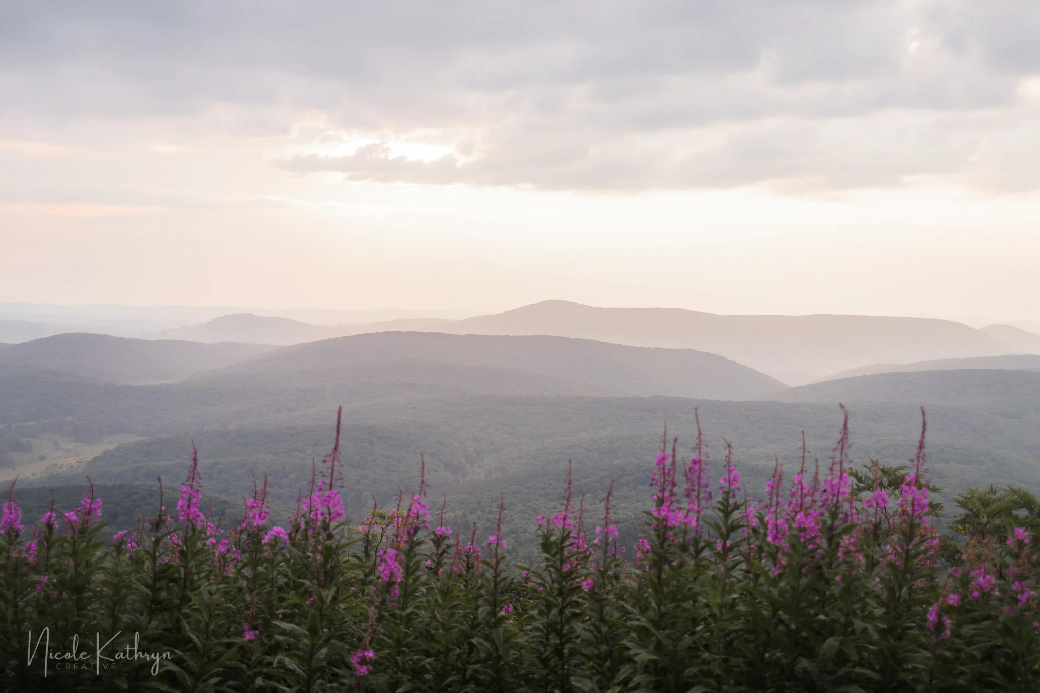 Spruce Knob, WV - Jul, 2021 - Watermark-17.jpg