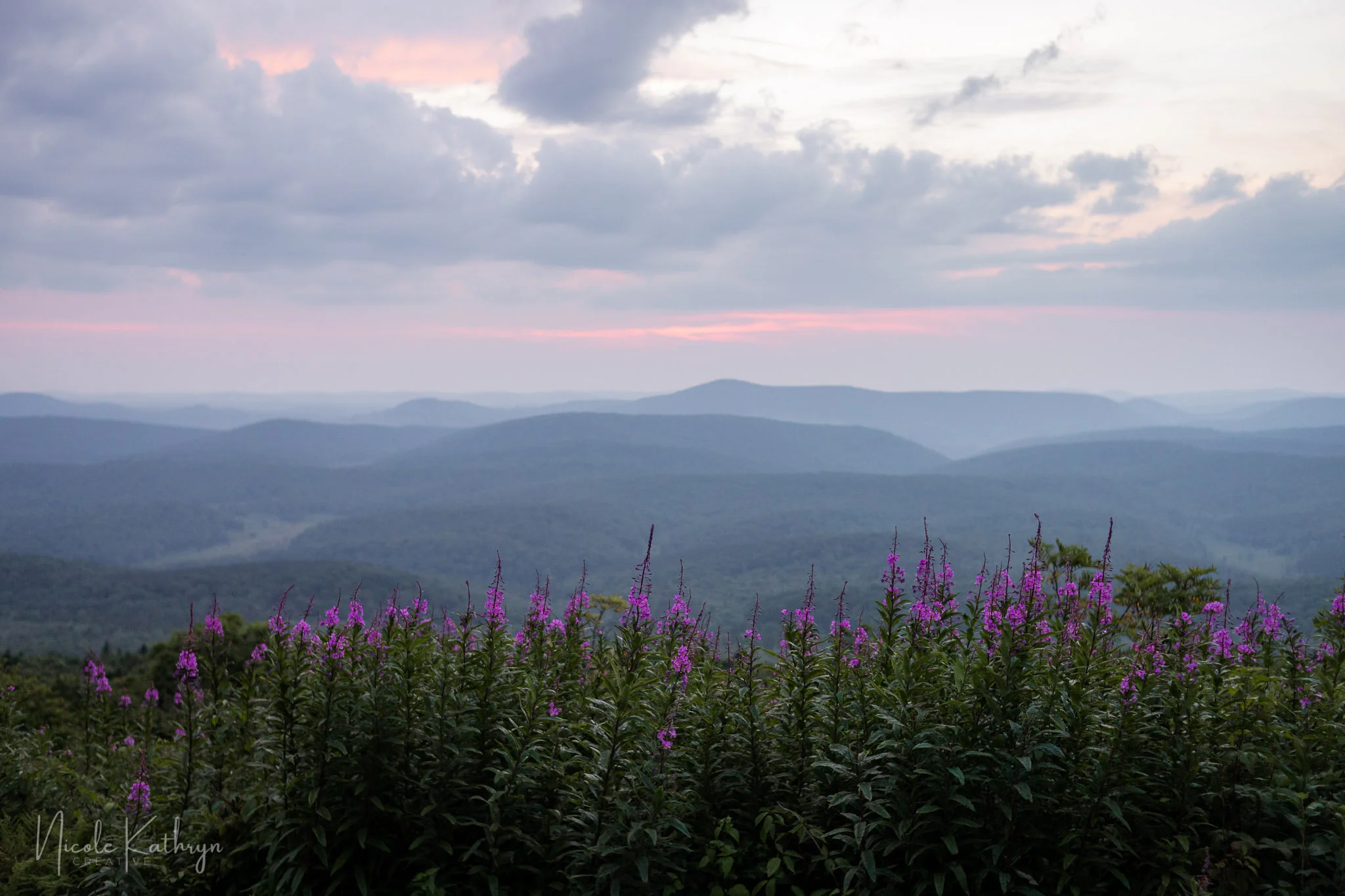 Spruce Knob, WV - Jul, 2021 - Watermark-25.jpg