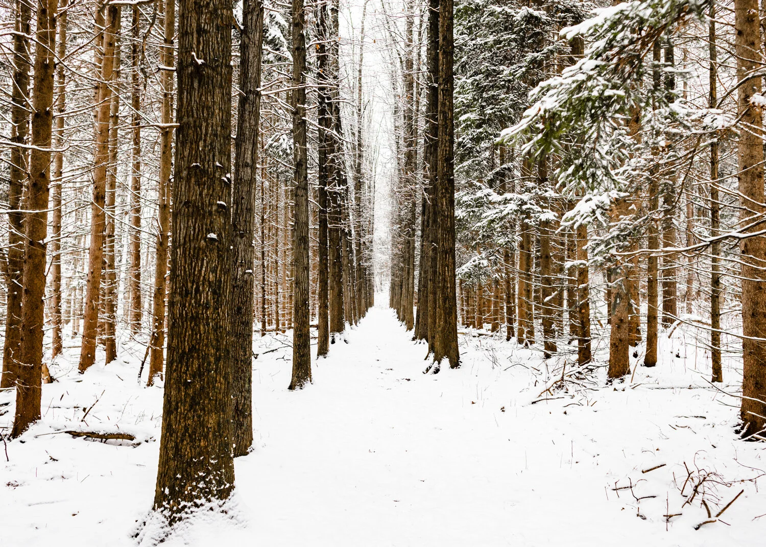 5+ Trails Near Cleveland to Hike this Winter