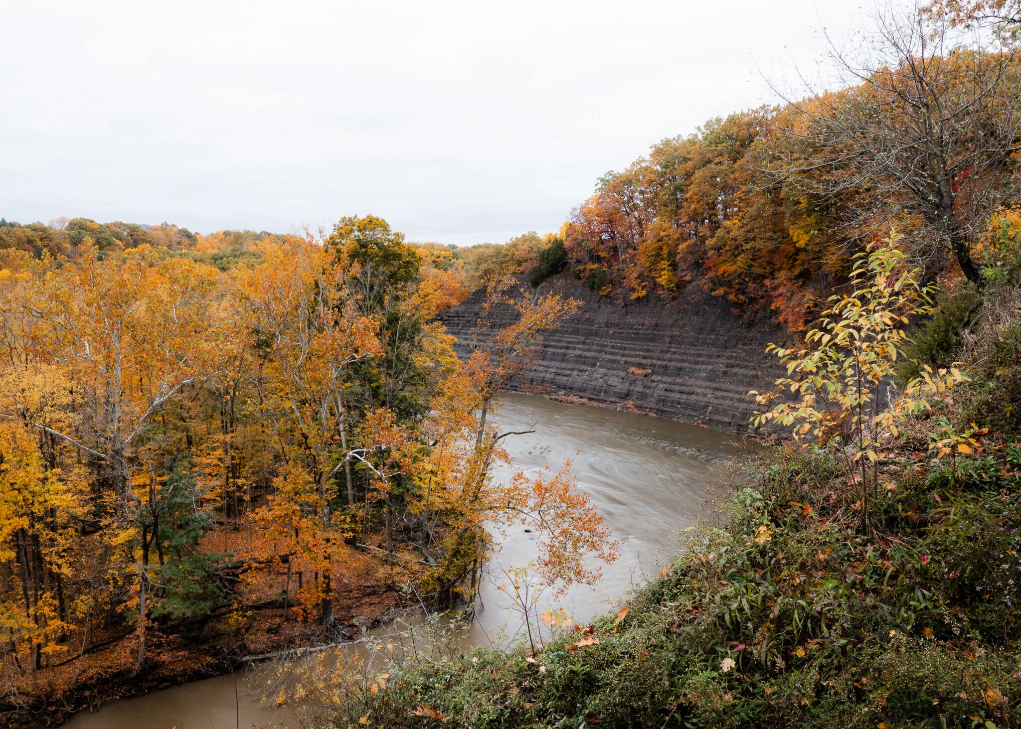 Where to View the Fall Foliage in Northeast Ohio