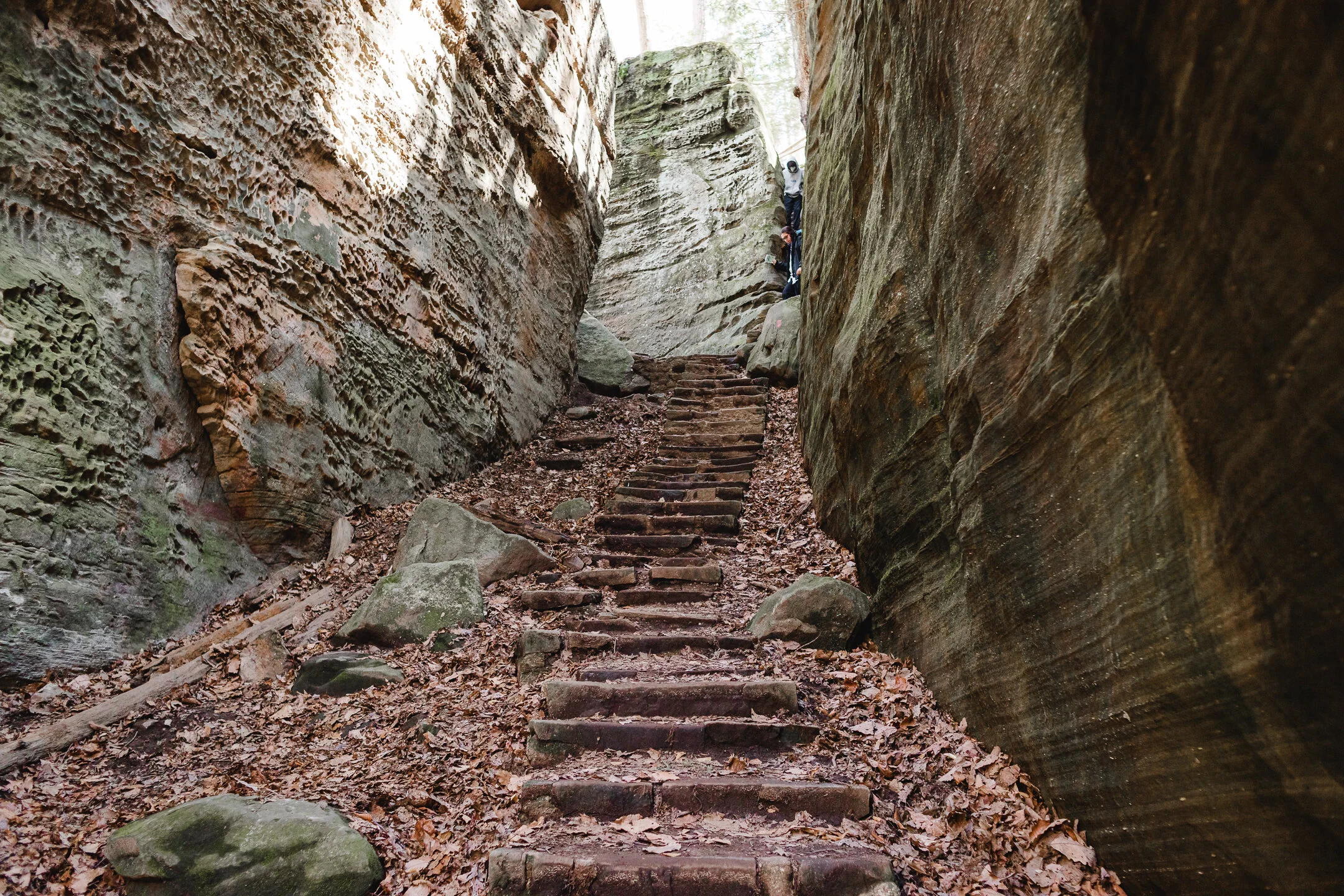 Hocking Hills Region: The Hiking Guide