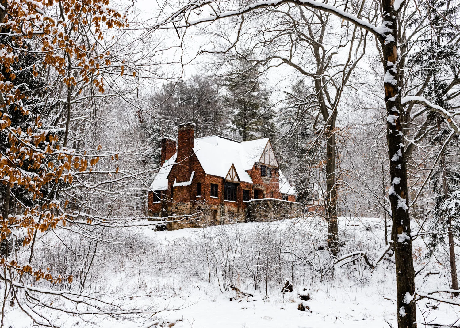 5+ Magical Activities to do this Winter in Ohio
