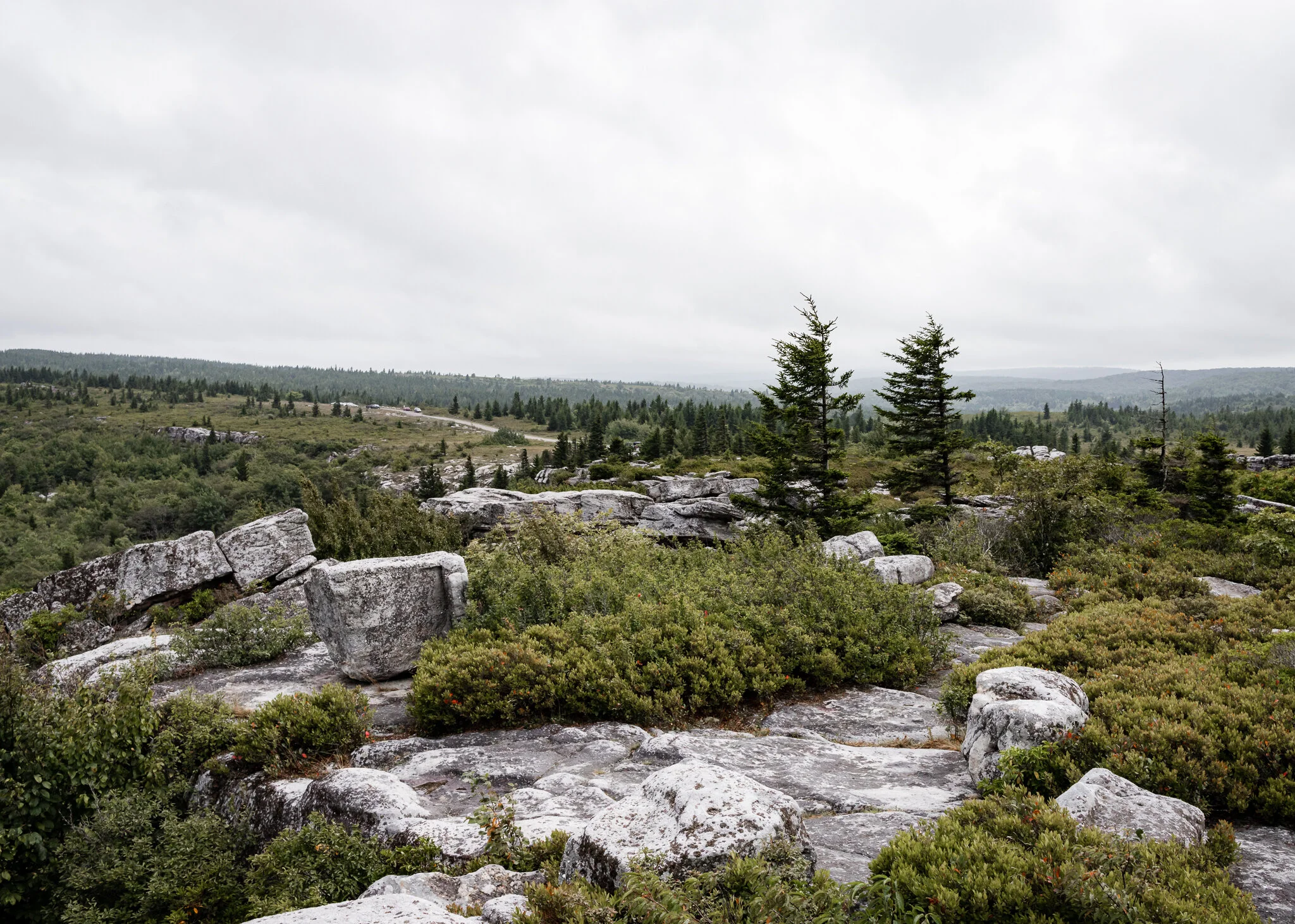 Dolly Sods Wilderness: An Unbroken Landscape in West Virginia