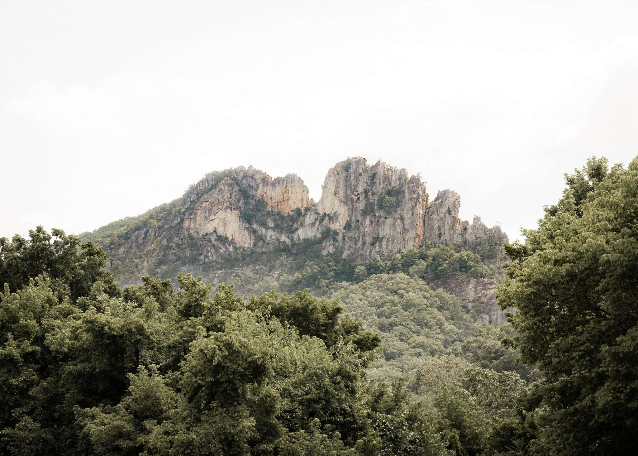 Seneca Rocks: A Towering Sight in West Virginia 