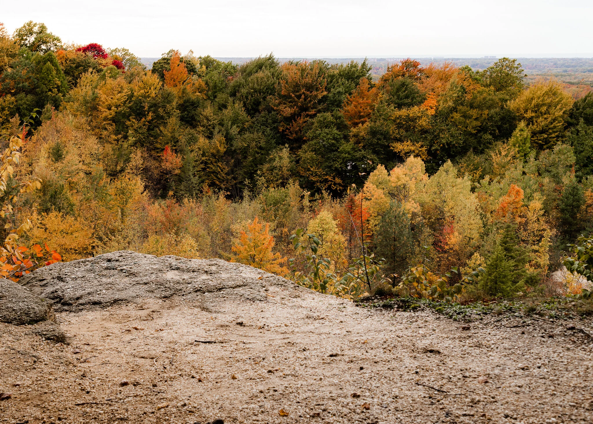 Lake Metroparks: Hiking Guide