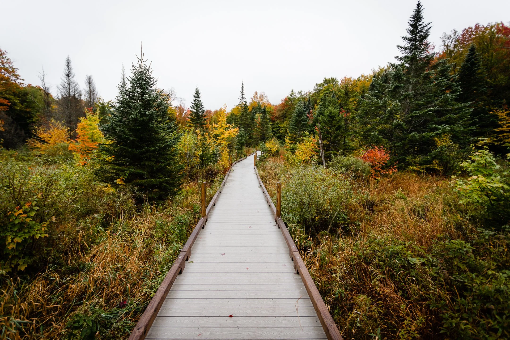Smugglers Notch, VT - October, 2021-4.jpg