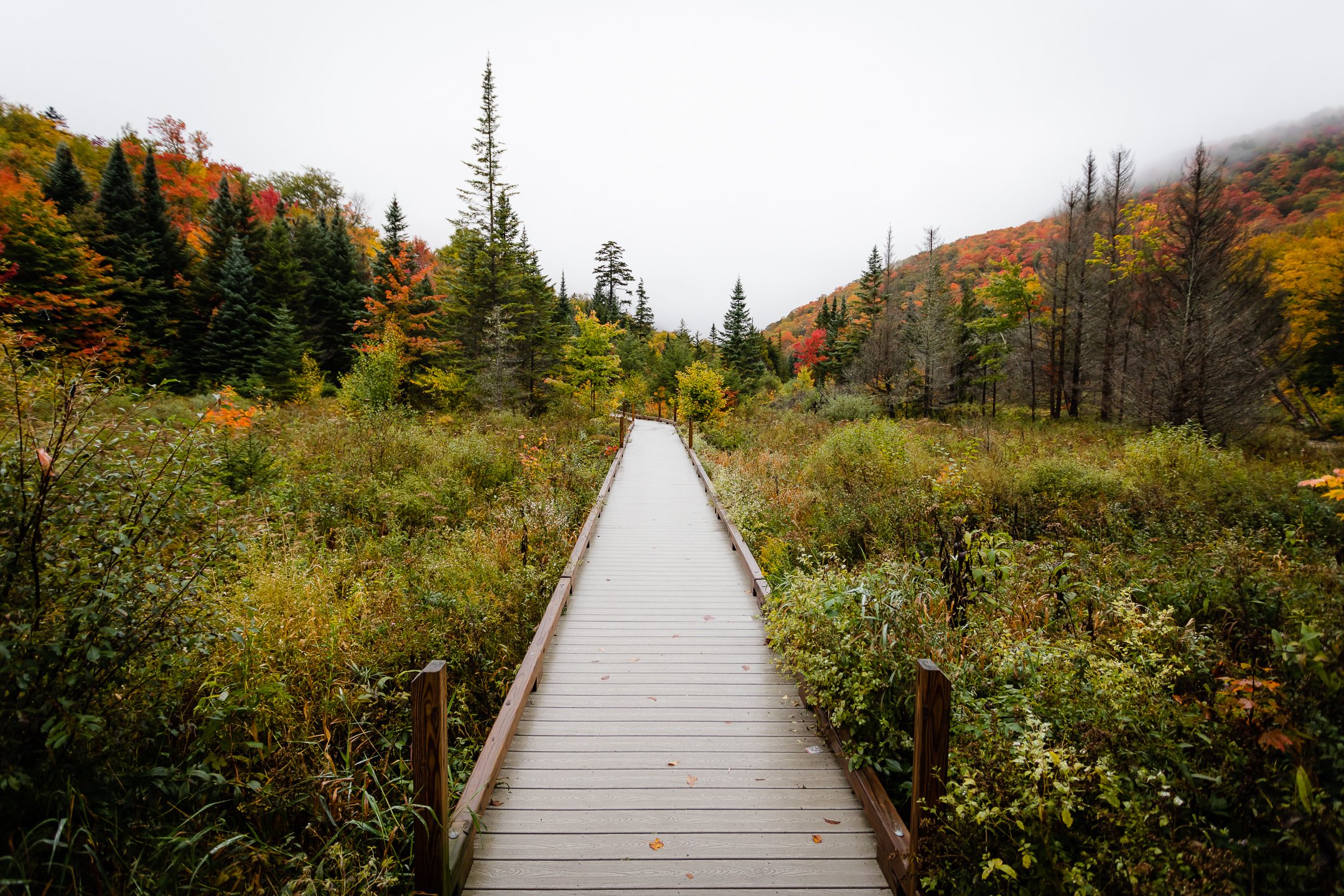 Smugglers Notch, VT - October, 2021-5.jpg