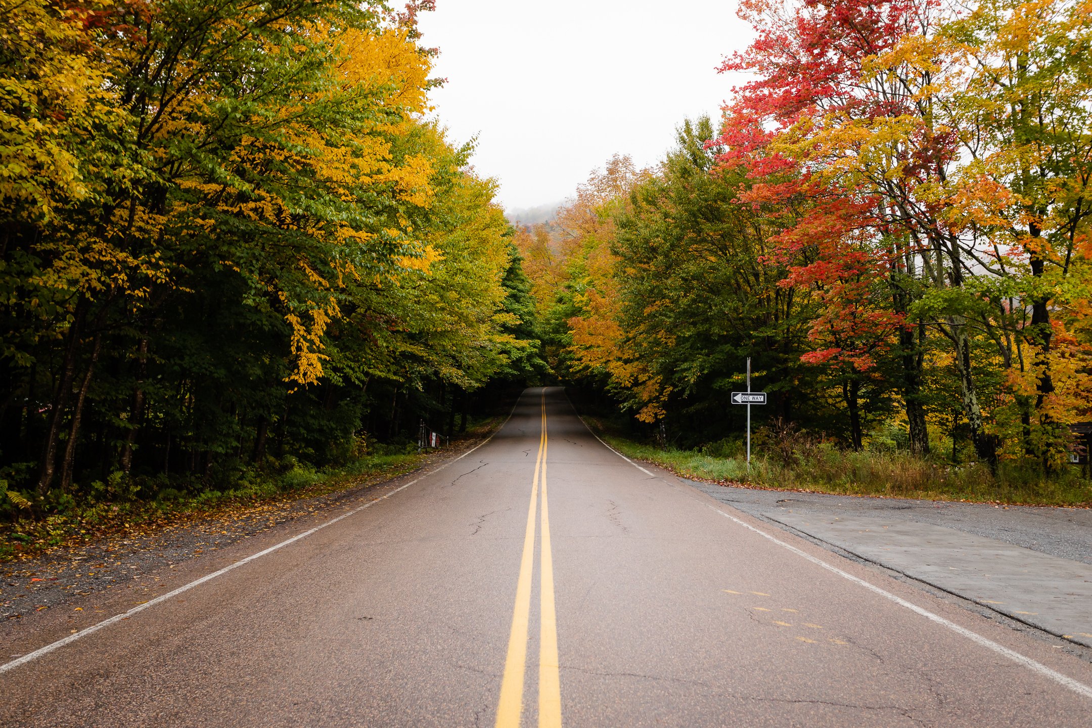 How to Plan the Perfect Fall Trip