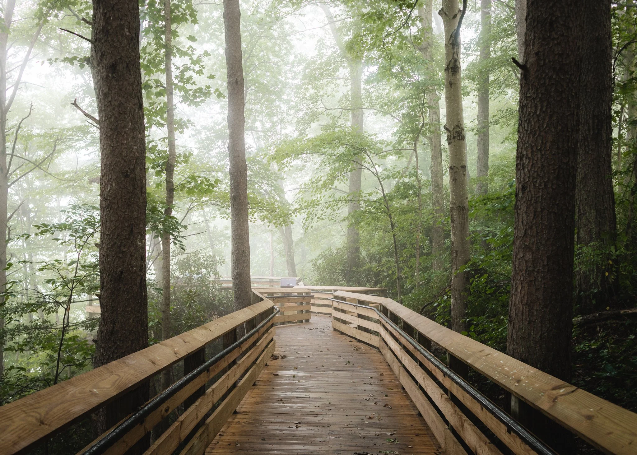 Explore the Newest National Park: New River Gorge