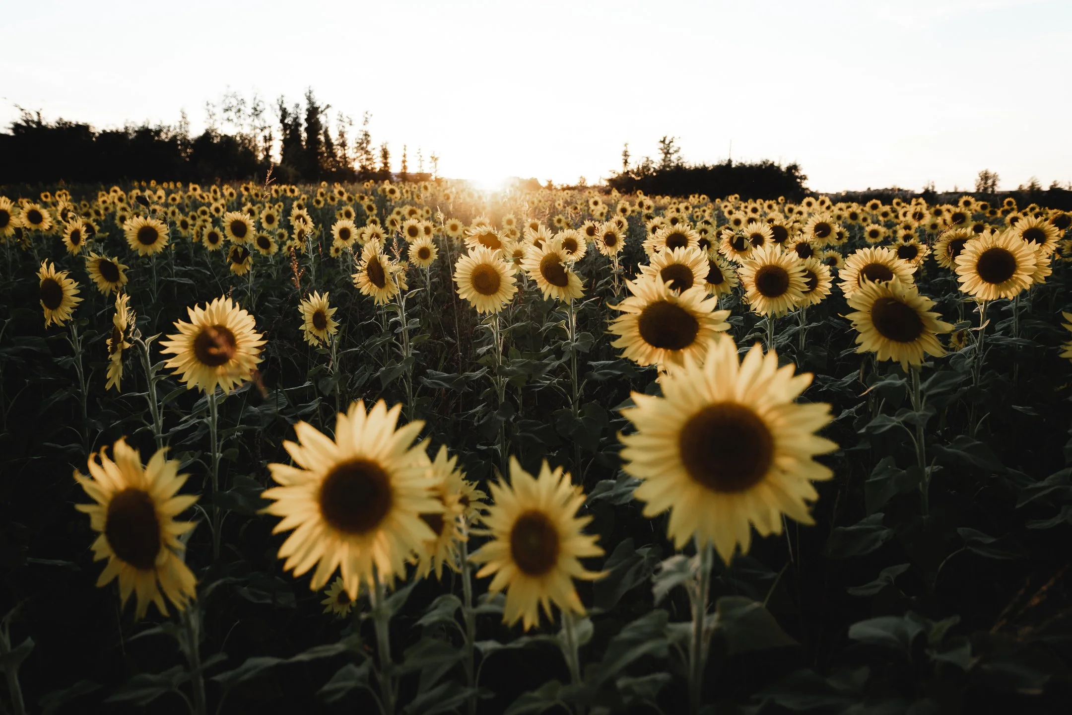 Prayers for Maria, Avon - September, 2021-5.jpeg