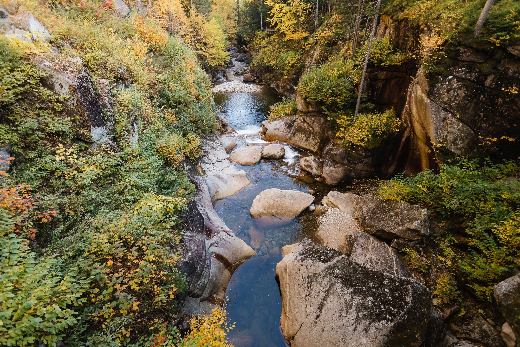 Flume Gorge, NH - October, 2022-13.jpg