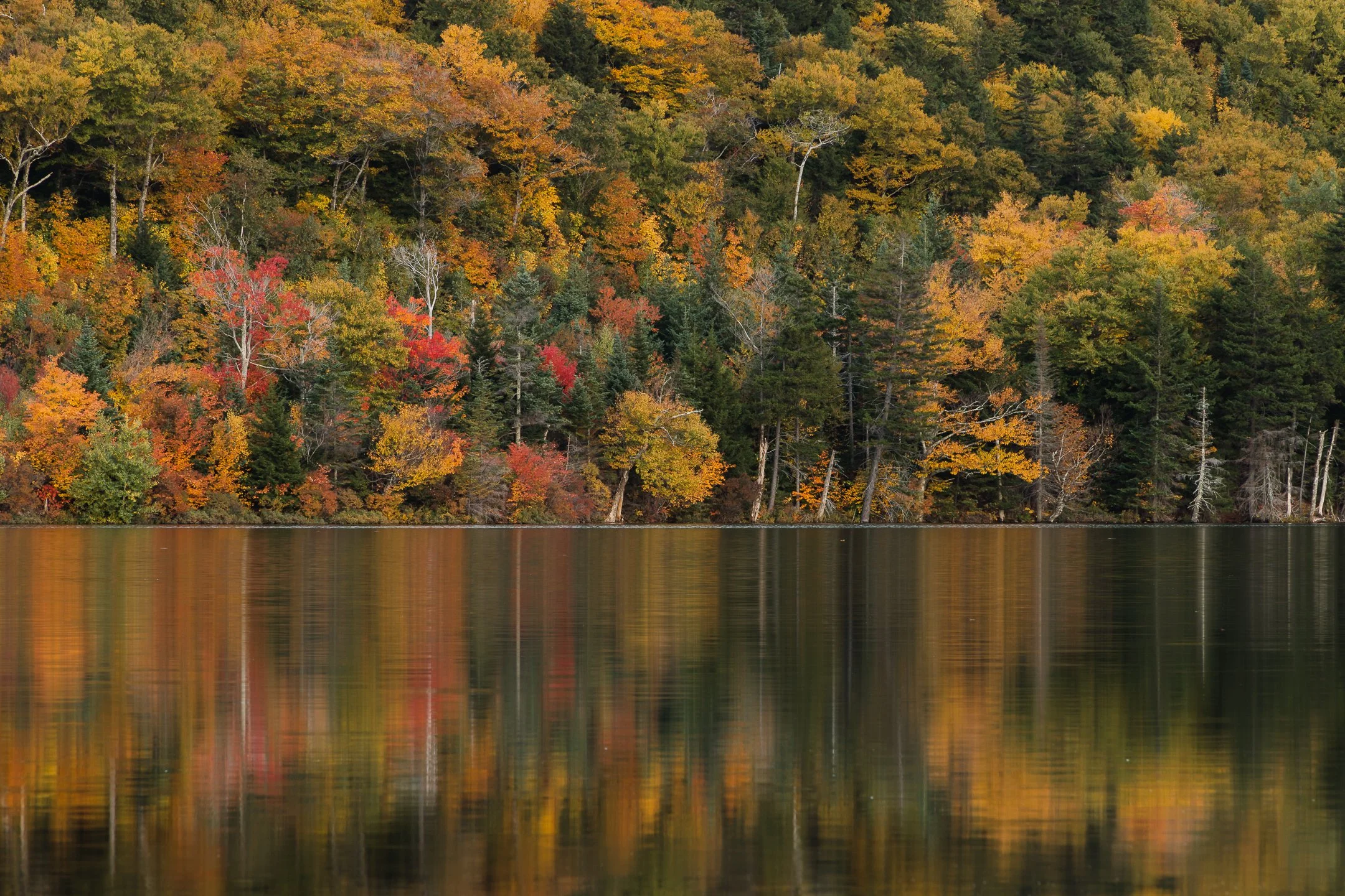 Echo Lake - October, 2022-2.jpg