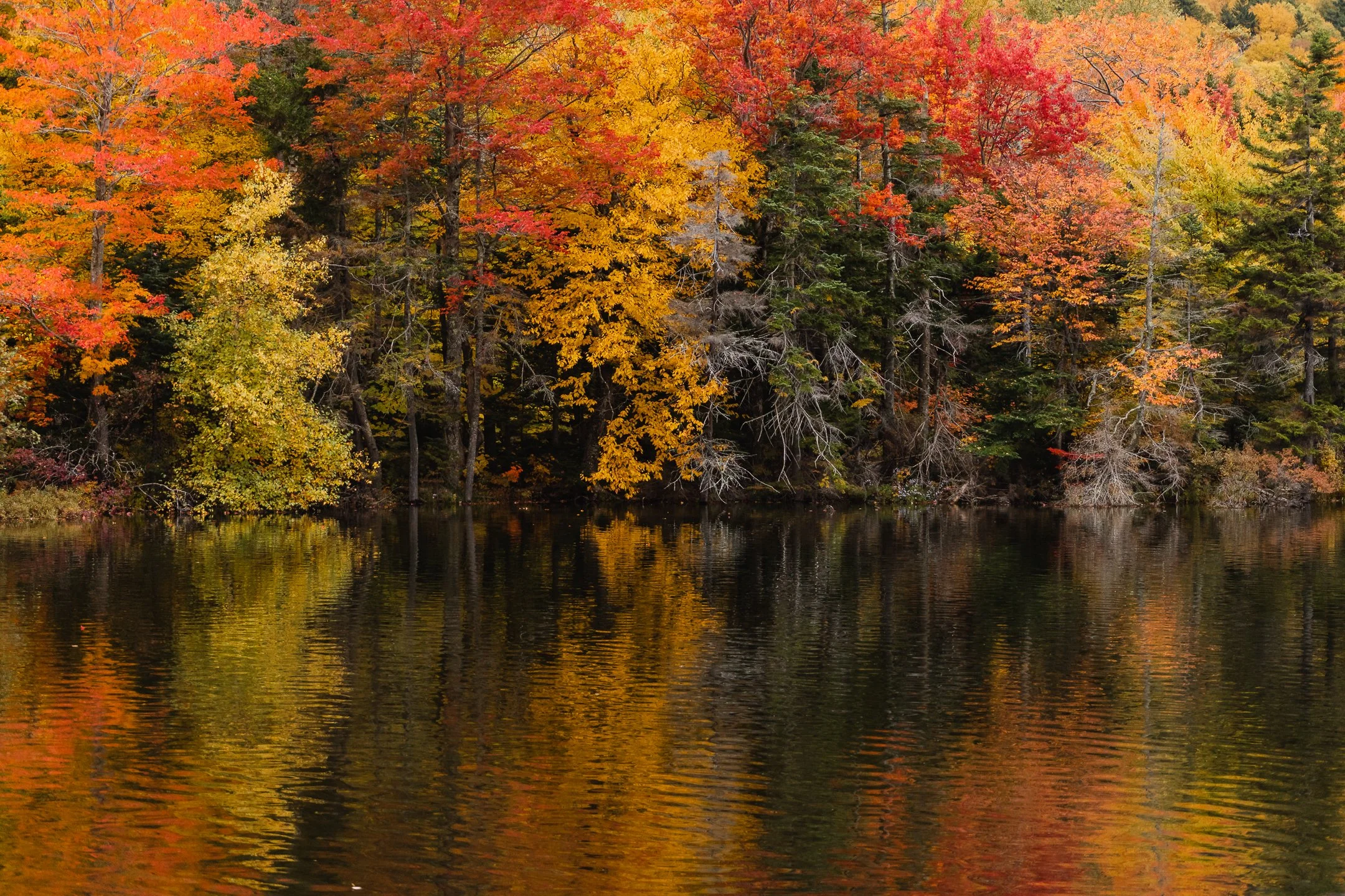 Echo Lake - October, 2022-8.jpg