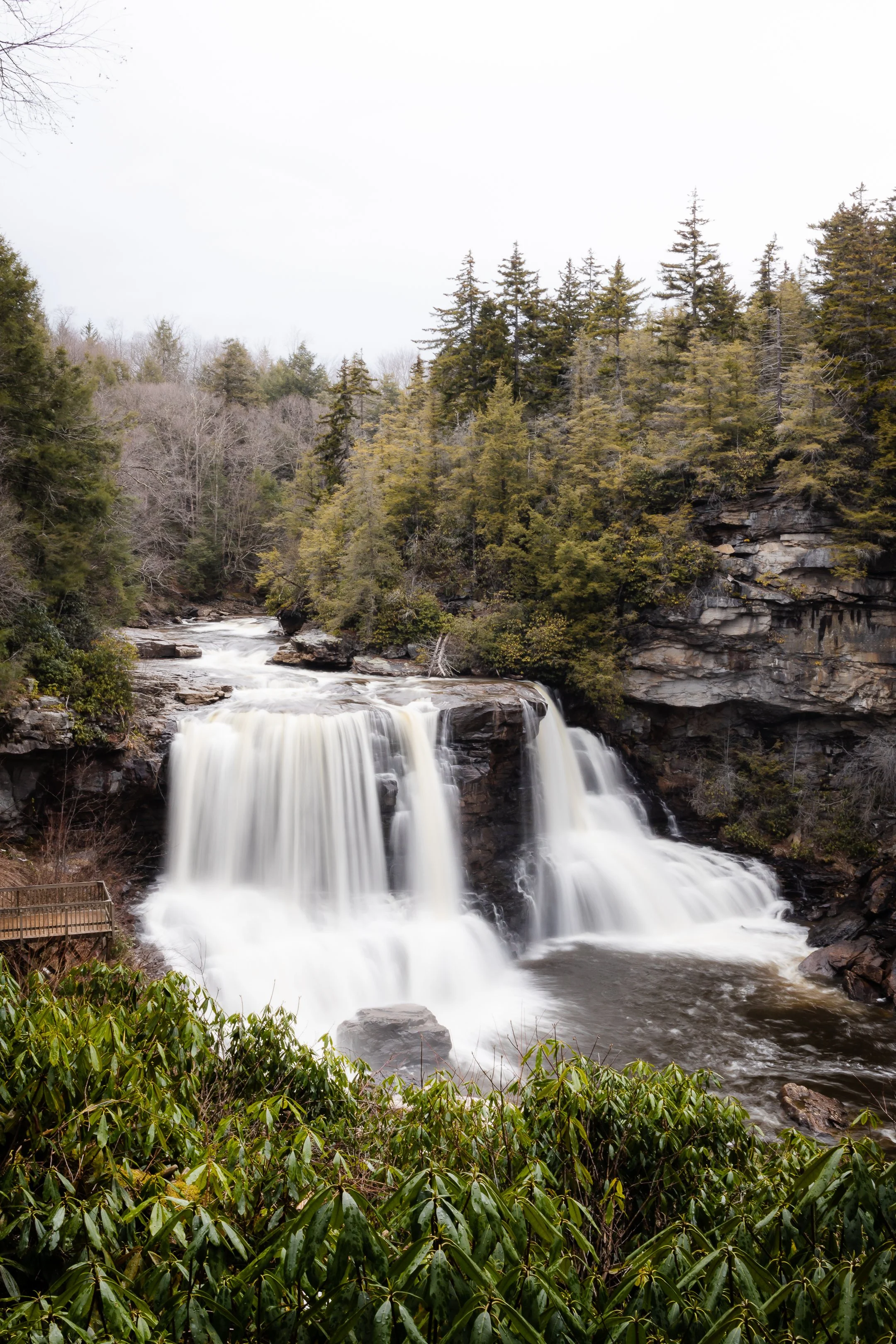 Blackwater Falls - March, 2022-3.jpg