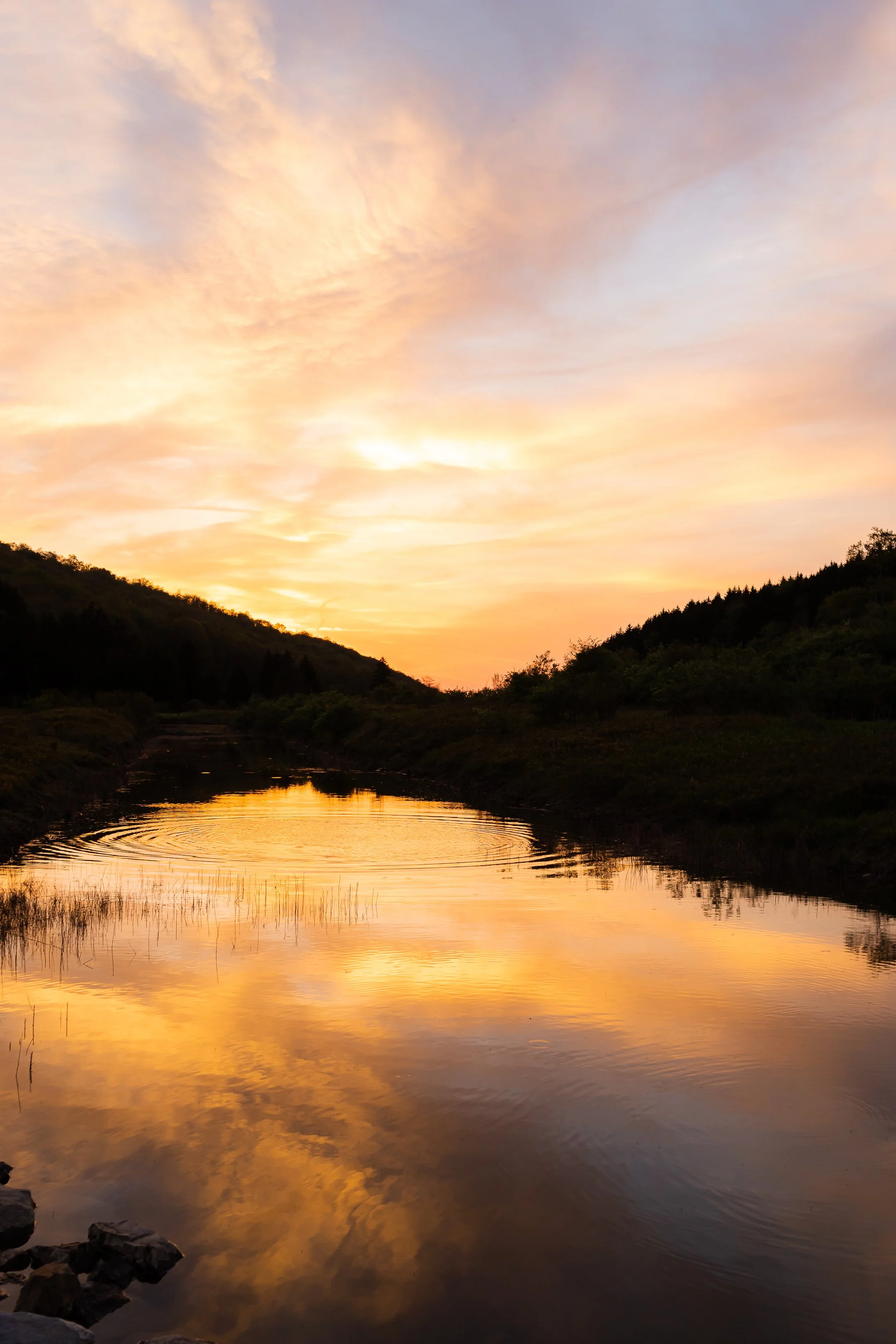 Spruce Knob Lake - May, 2022-26.jpg